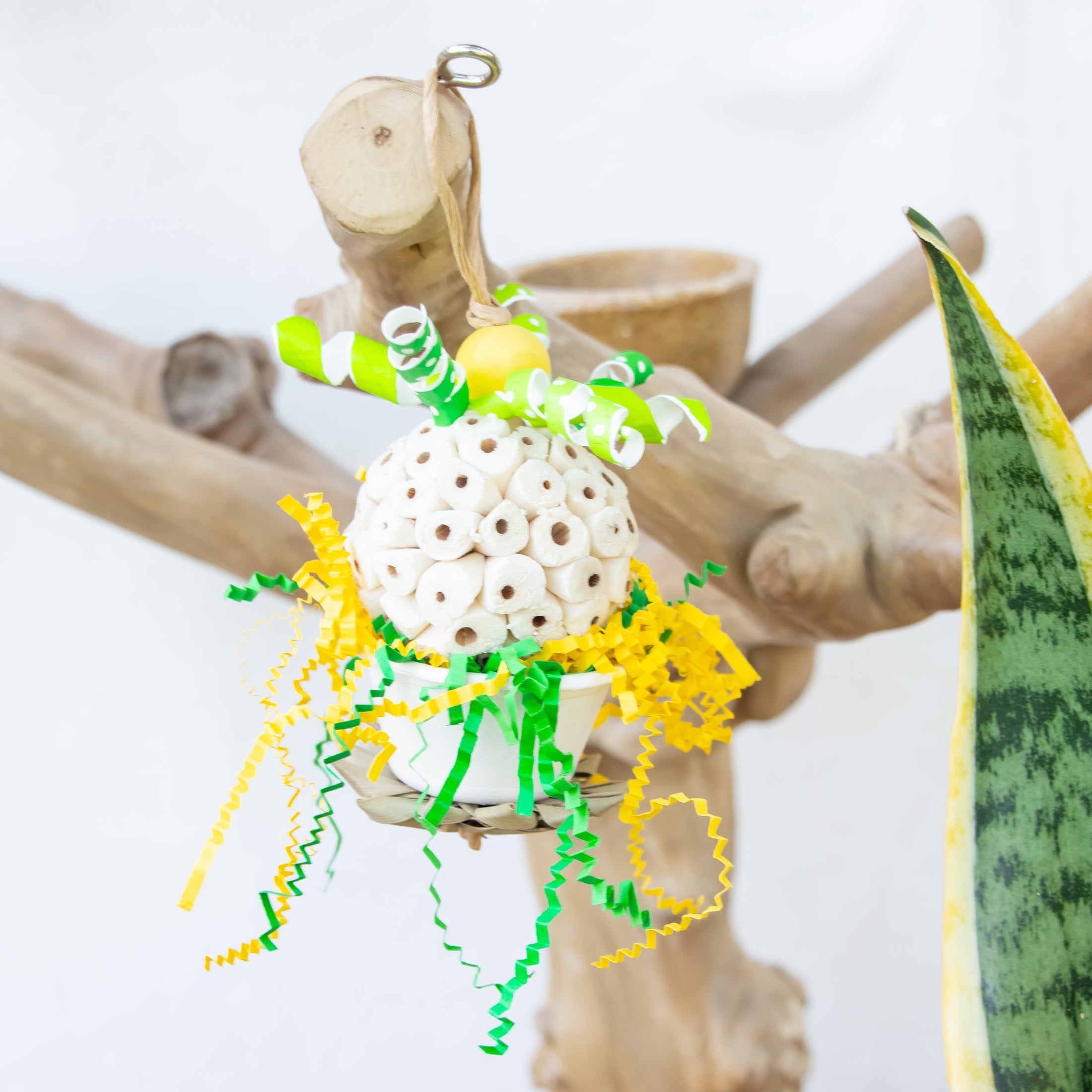 Tiny Roar, Big Heart - Dragon Collection