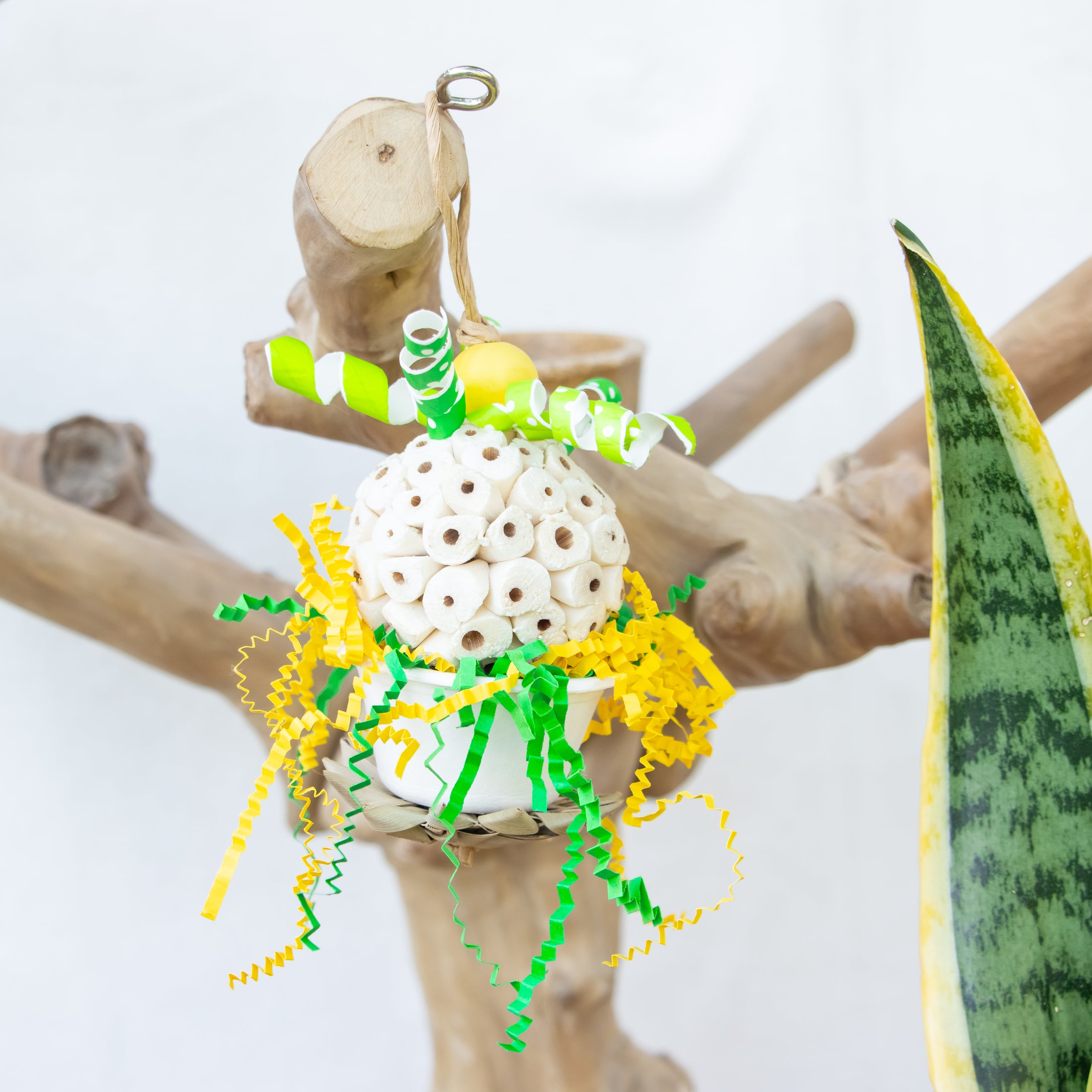 Tiny Roar, Big Heart - Dragon Collection