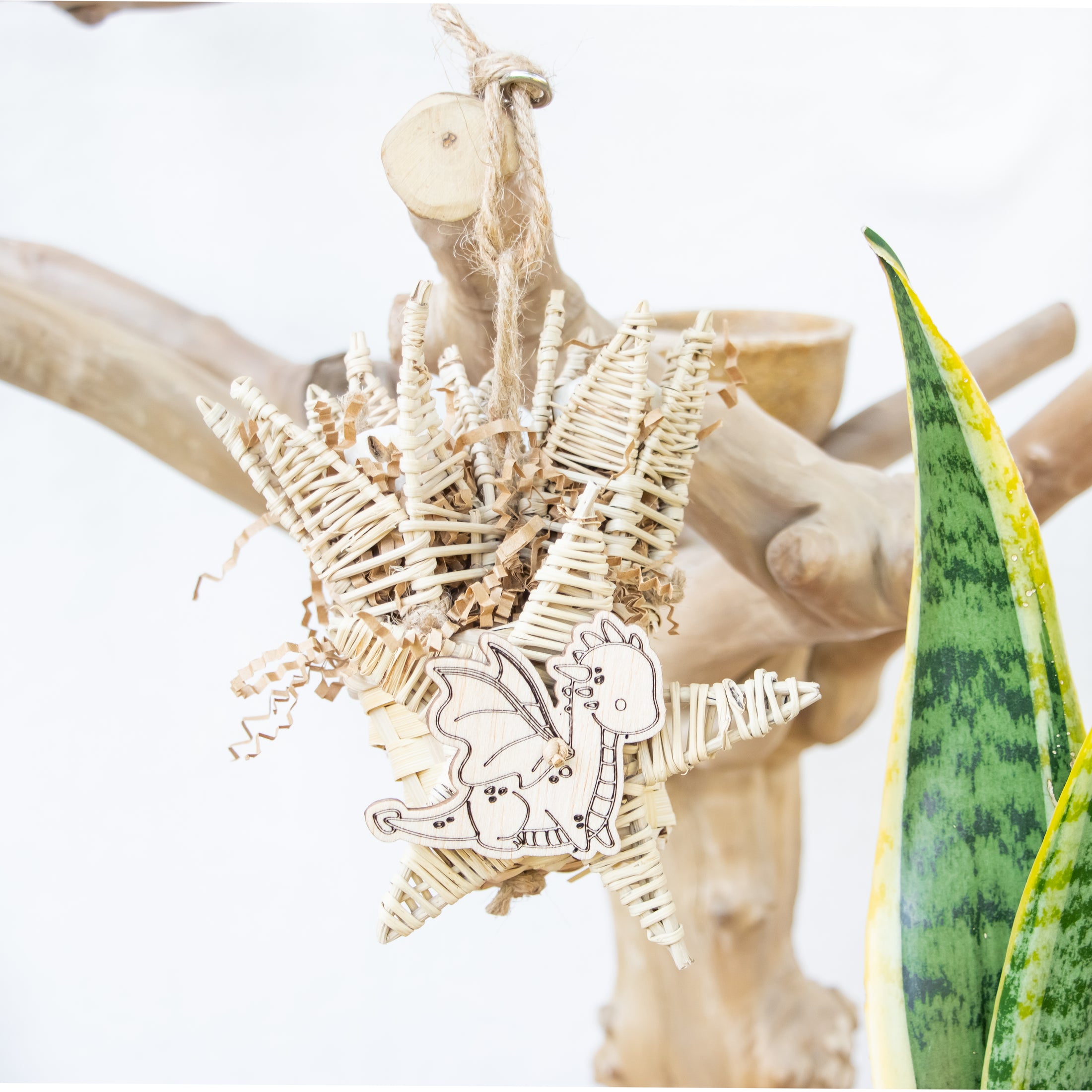 Nestled in Flame - Dragon Collection