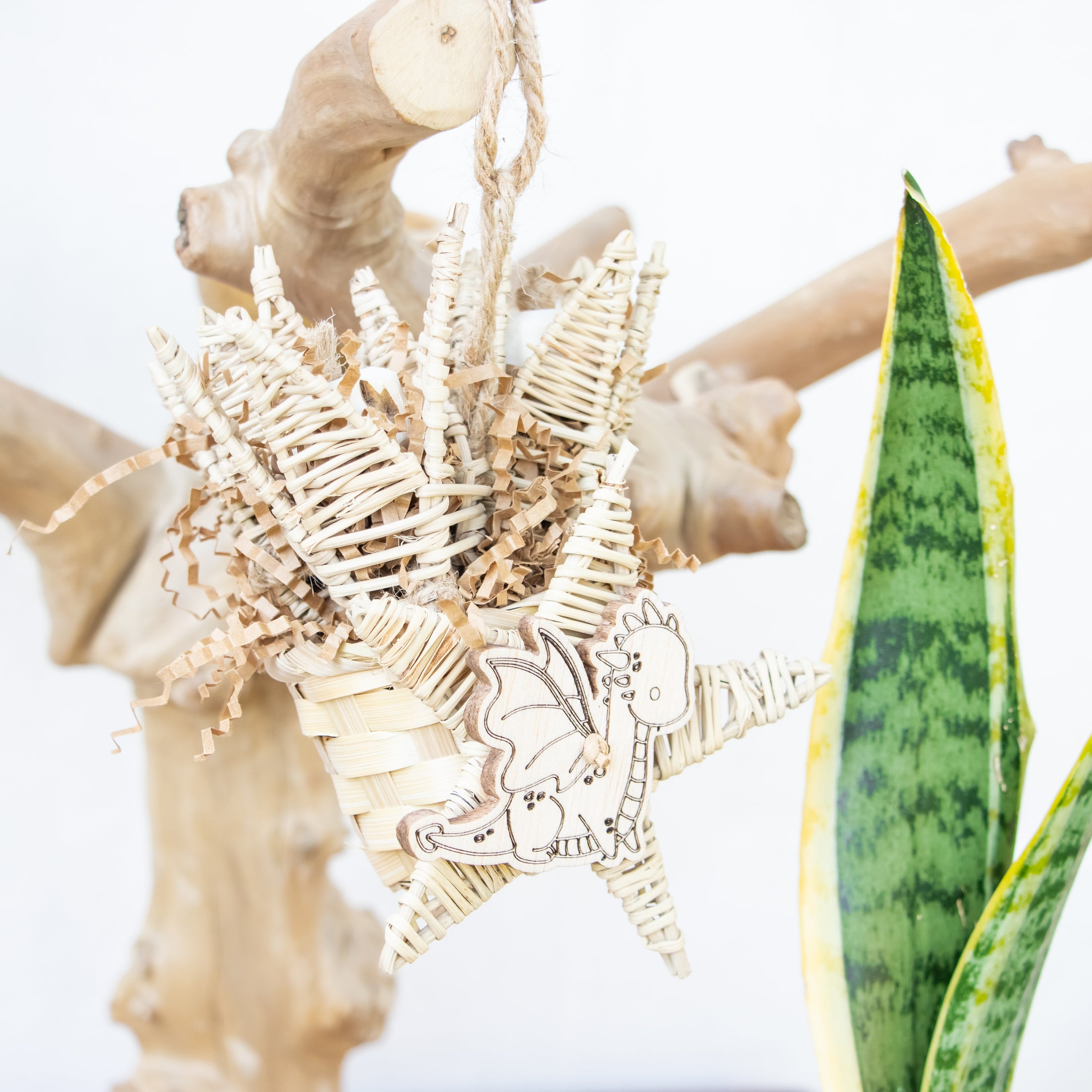 Nestled in Flame - Dragon Collection