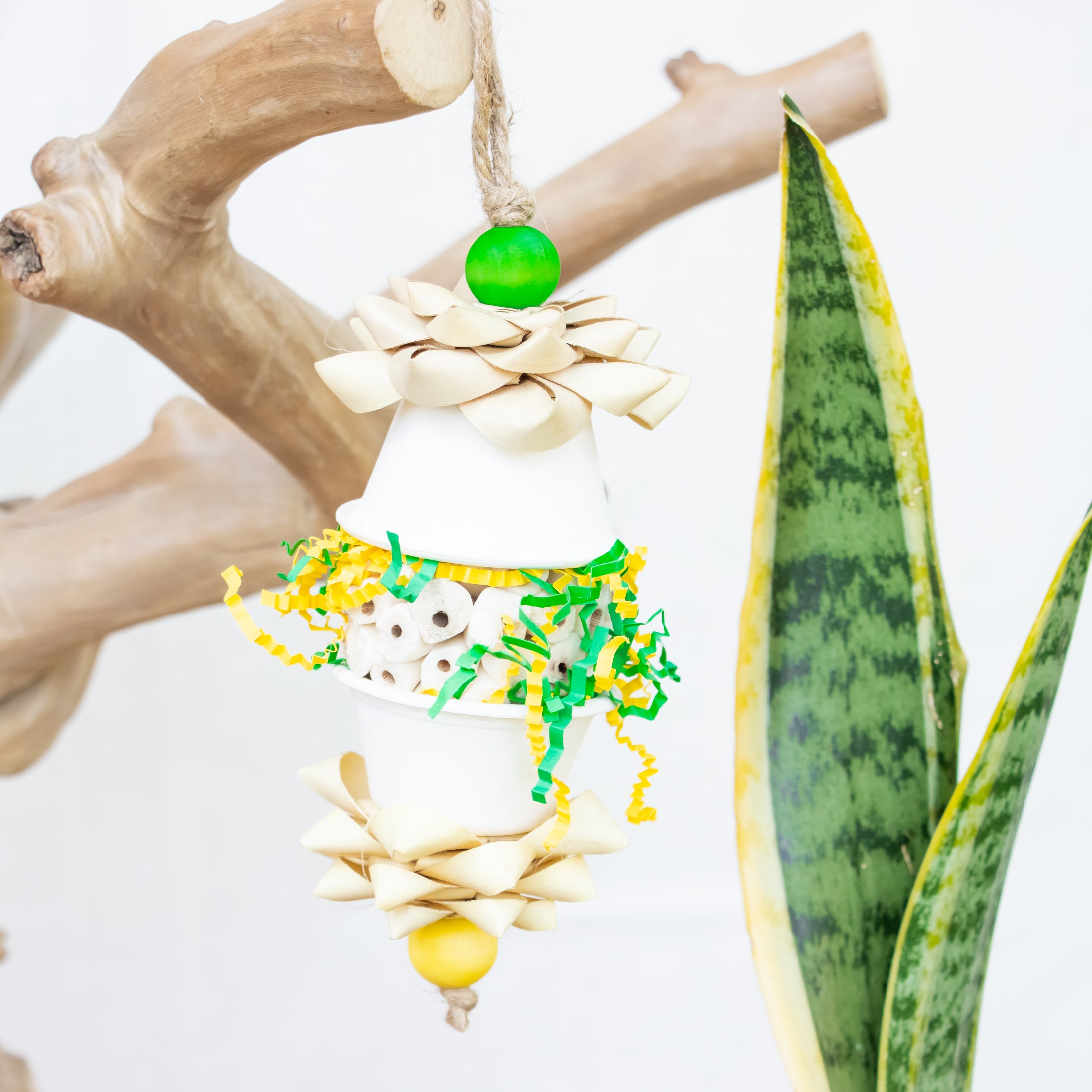 Wings in Motion - Dragon Collection