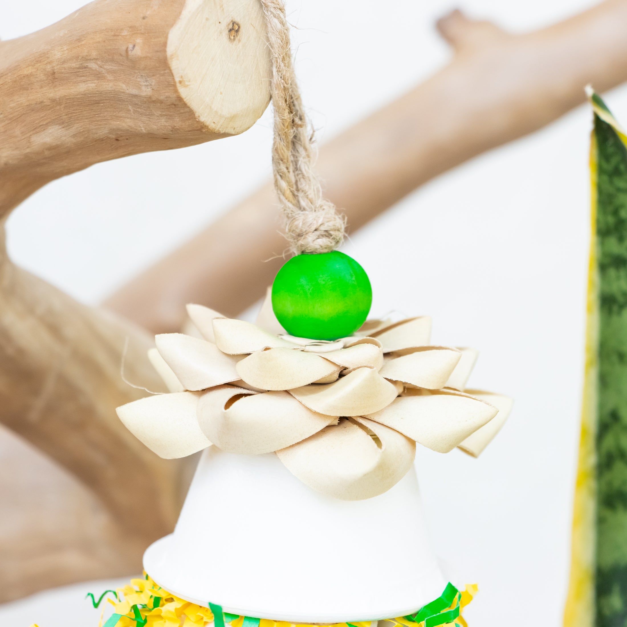 Wings in Motion - Dragon Collection