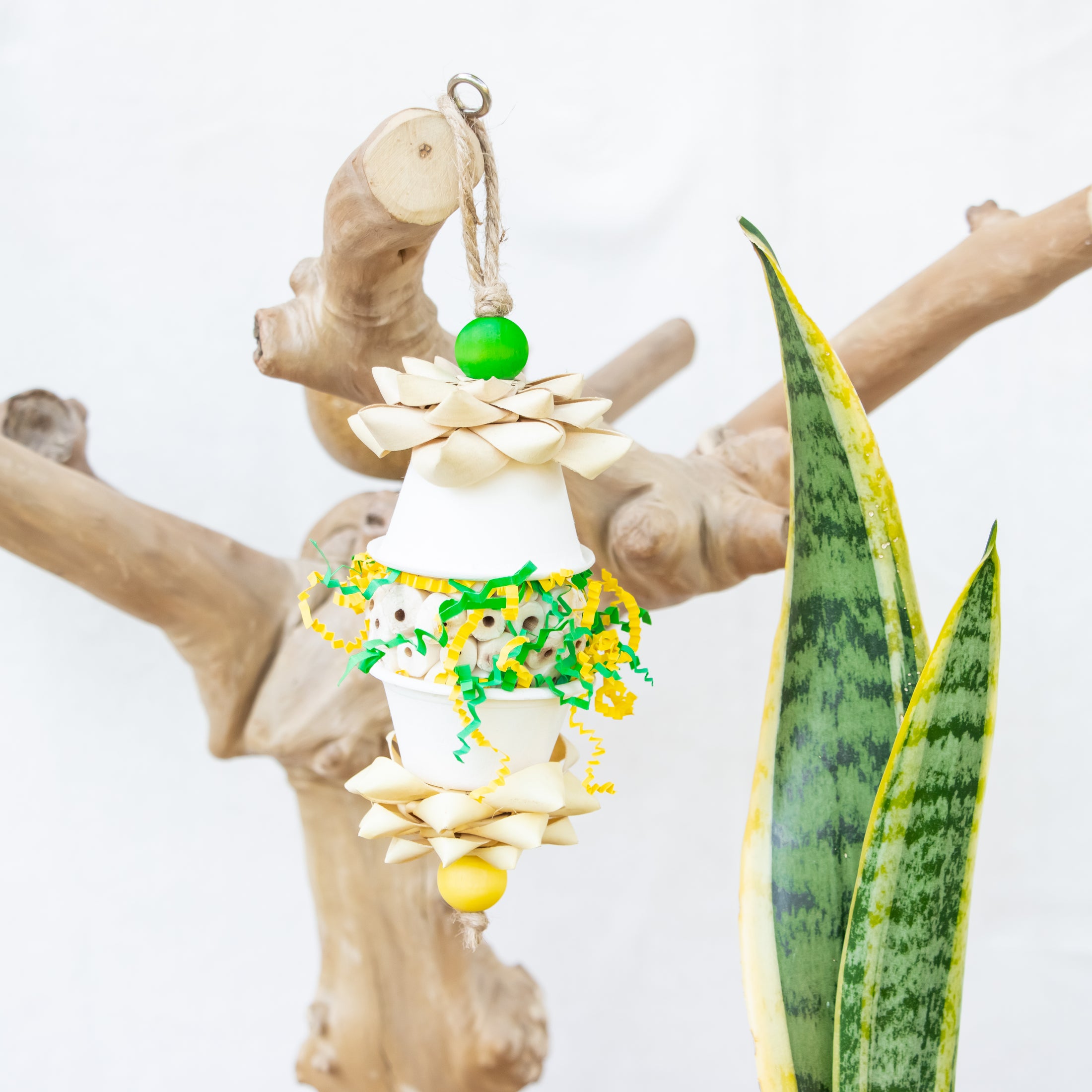 Wings in Motion - Dragon Collection