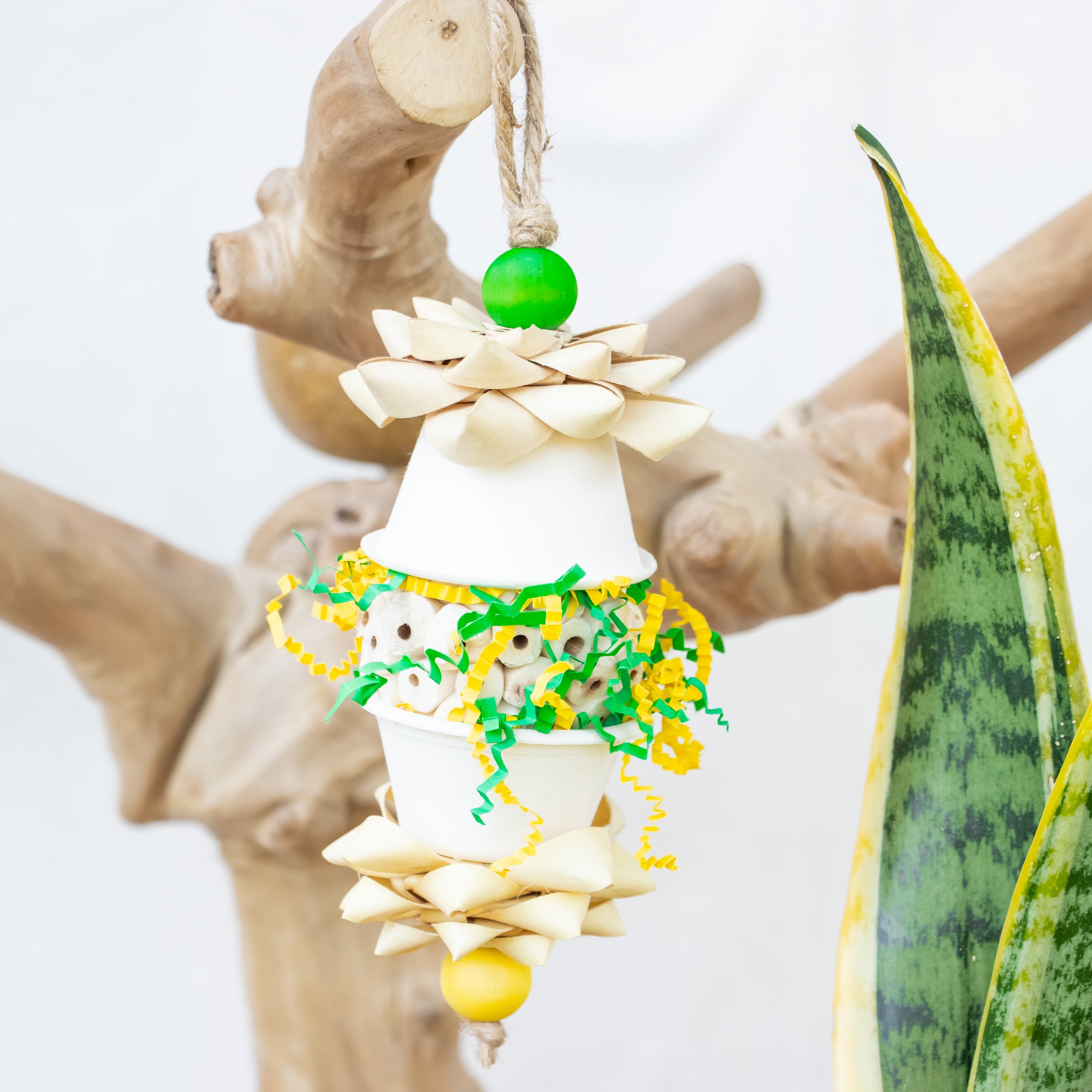 Wings in Motion - Dragon Collection