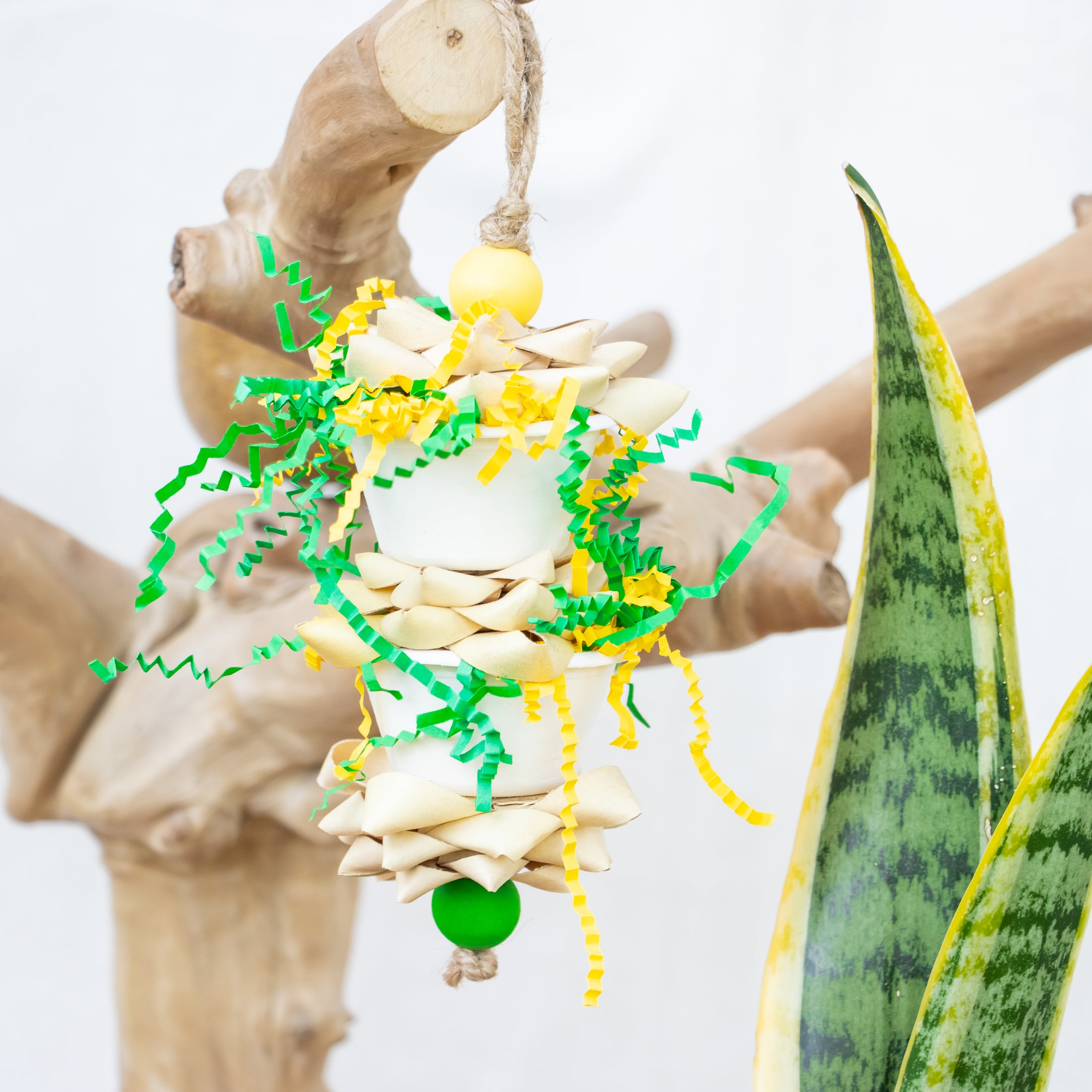 Emberborn - Dragon Collection