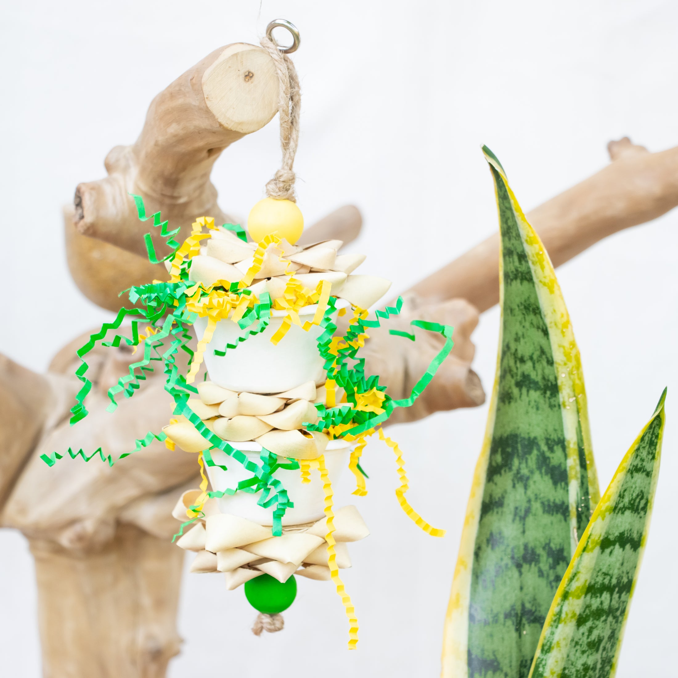 Emberborn - Dragon Collection