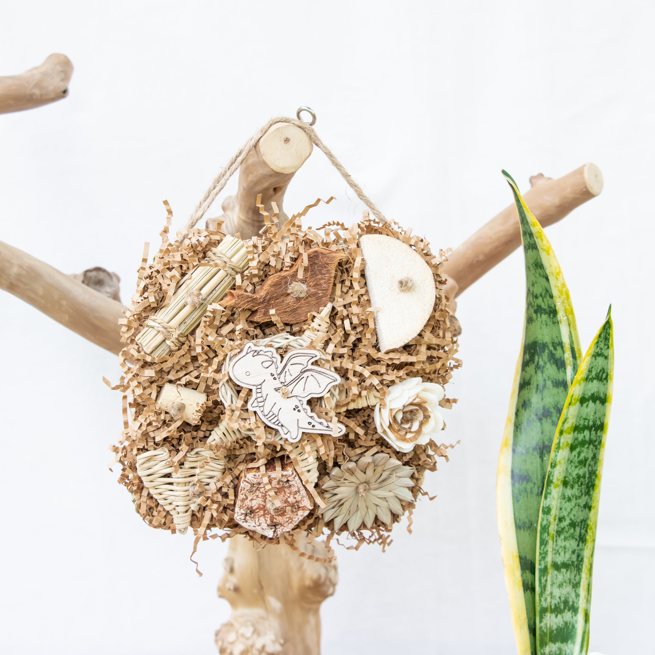 Roaring Memories - Dragon Collection