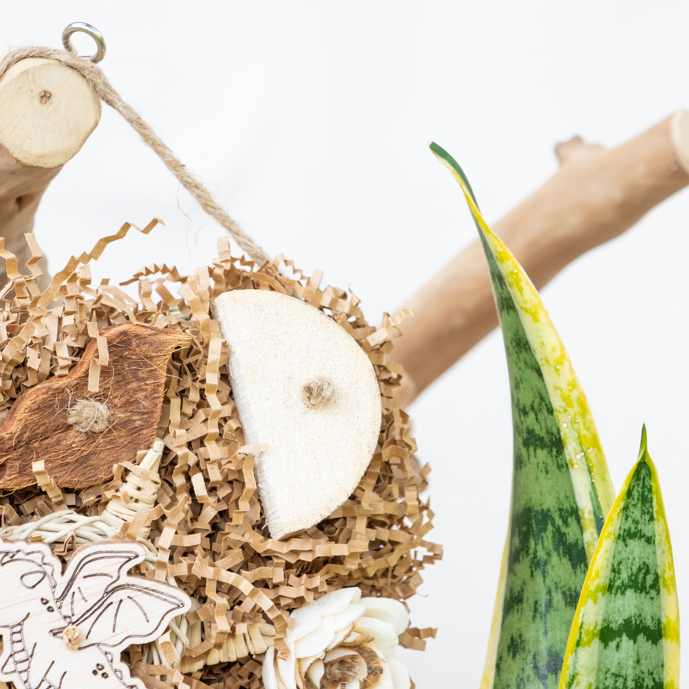 Roaring Memories - Dragon Collection