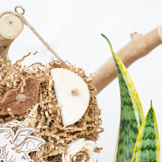 Roaring Memories - Dragon Collection