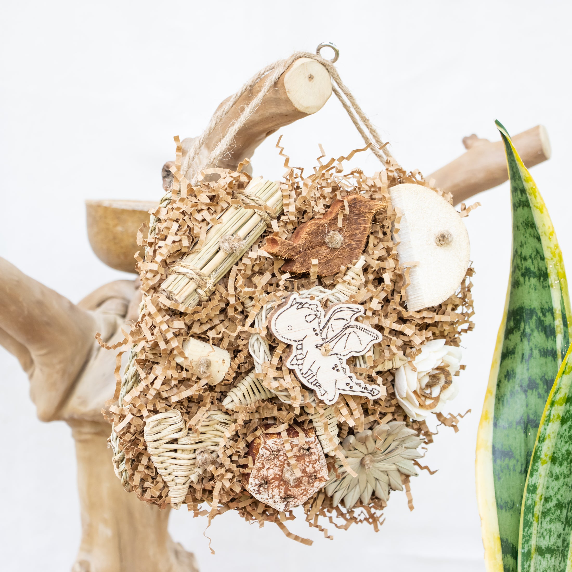 Roaring Memories - Dragon Collection