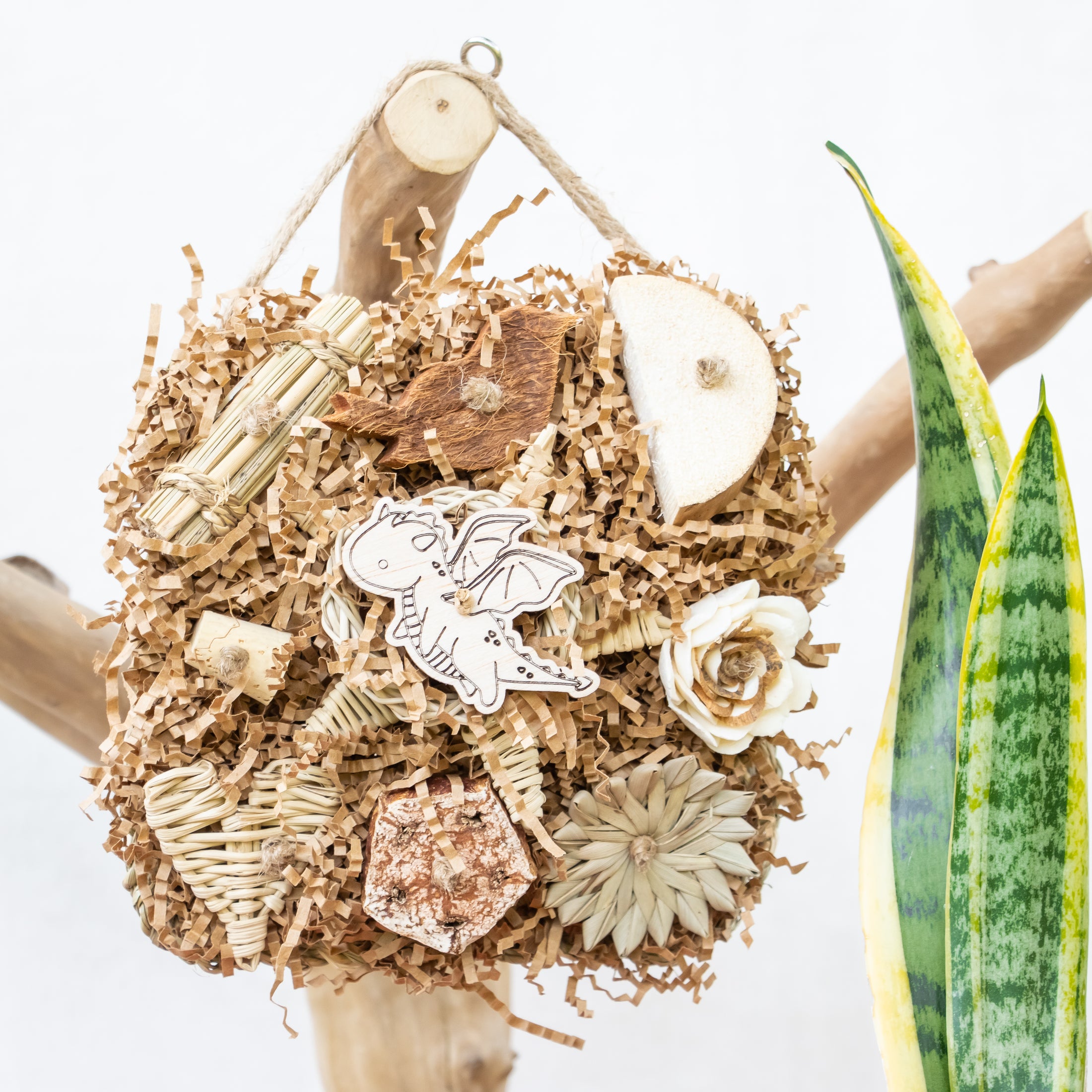 Roaring Memories - Dragon Collection