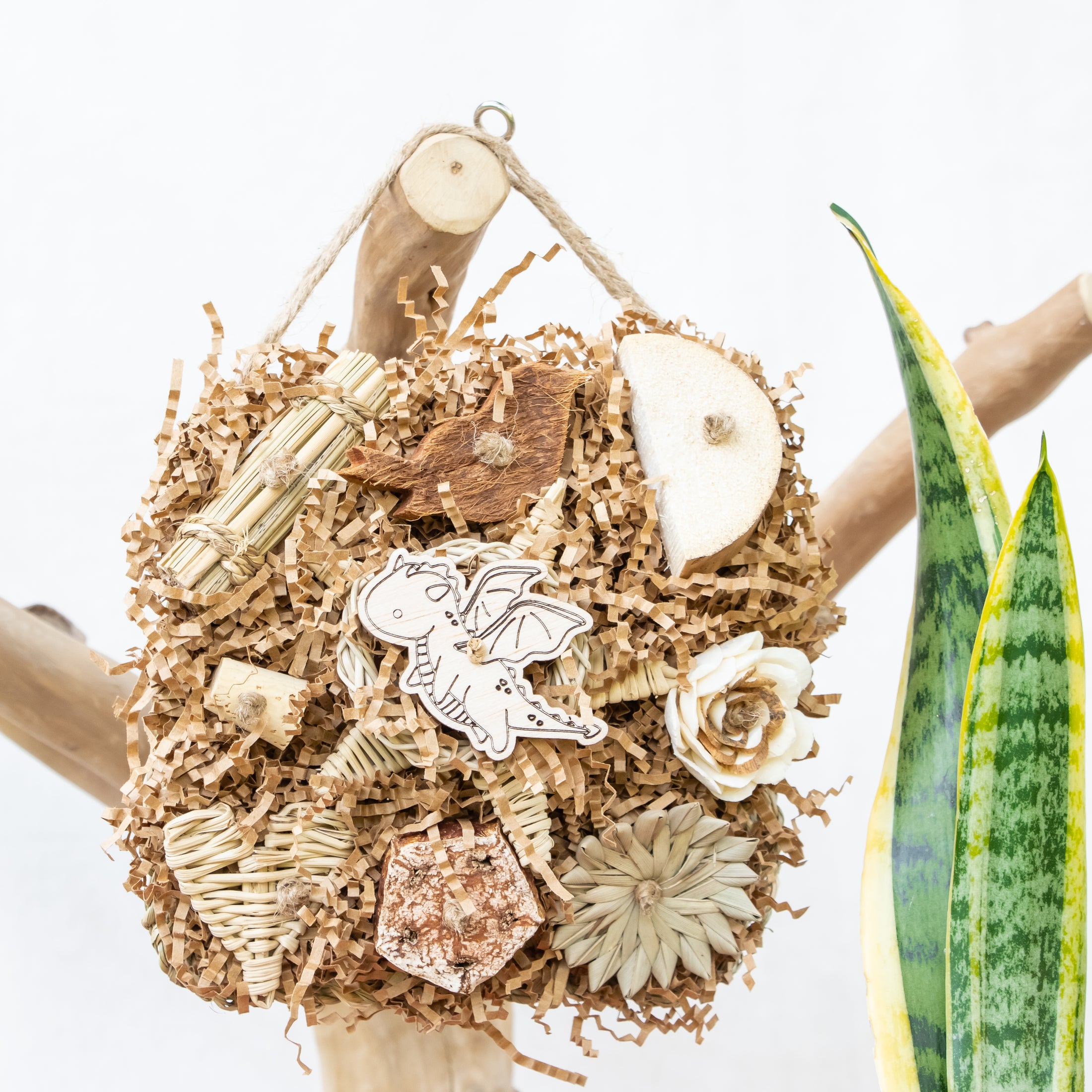 Roaring Memories - Dragon Collection