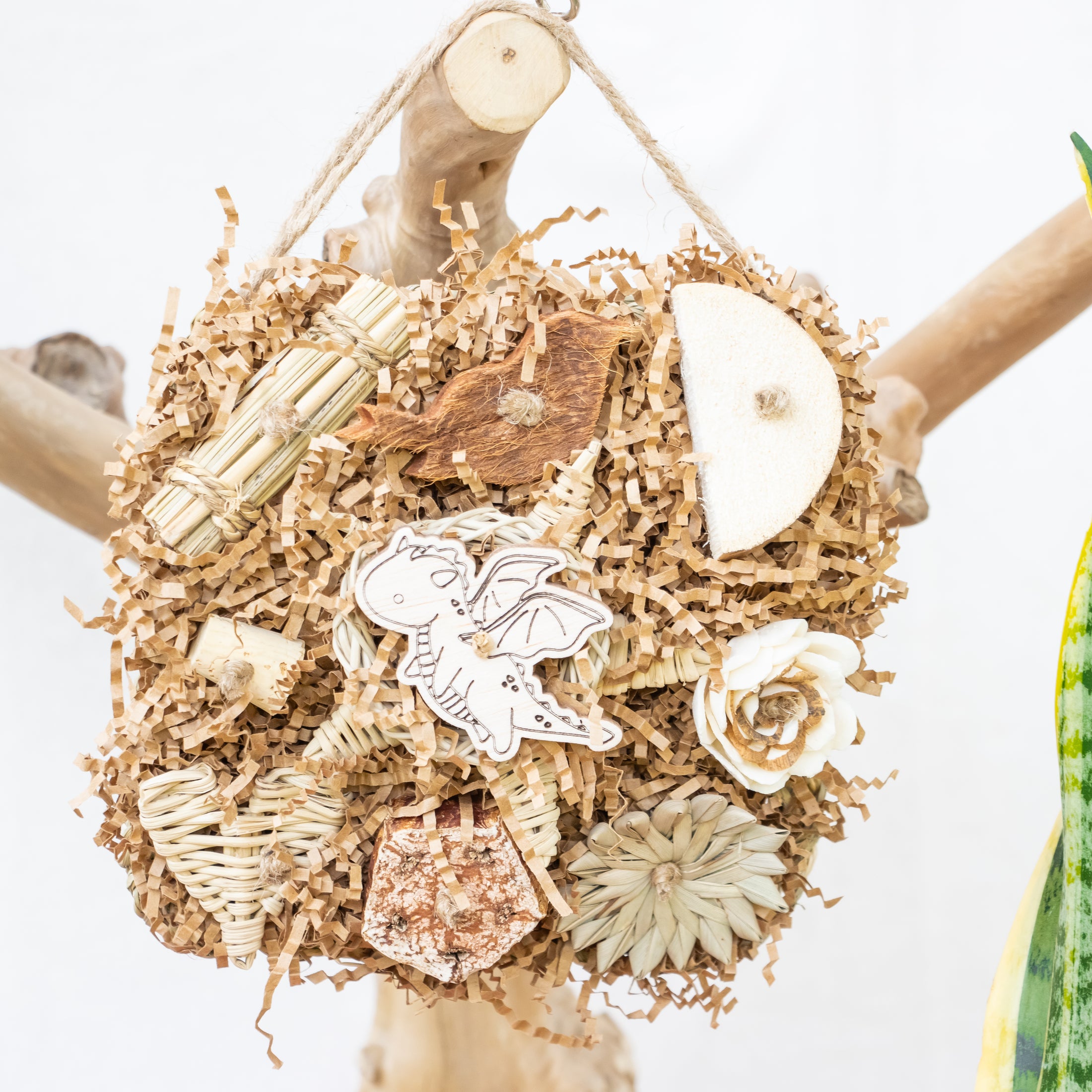 Roaring Memories - Dragon Collection