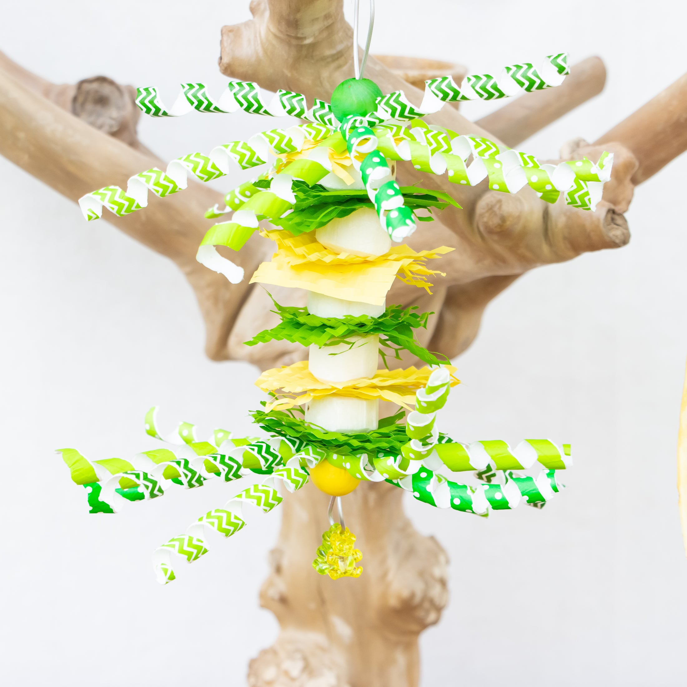 Scales of Magic - Dragon Collection