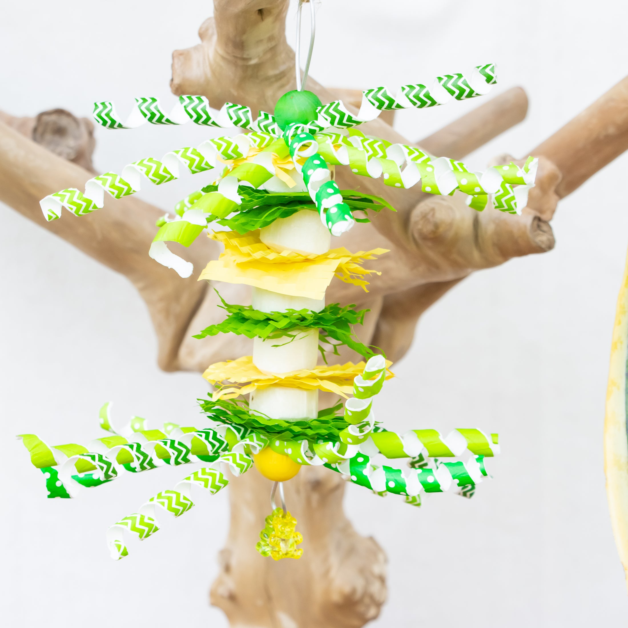 Scales of Magic - Dragon Collection