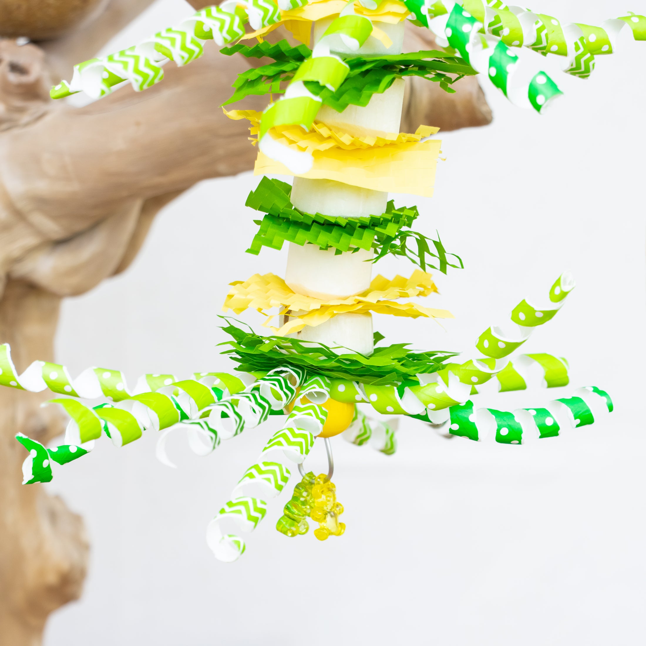 Scales of Magic - Dragon Collection