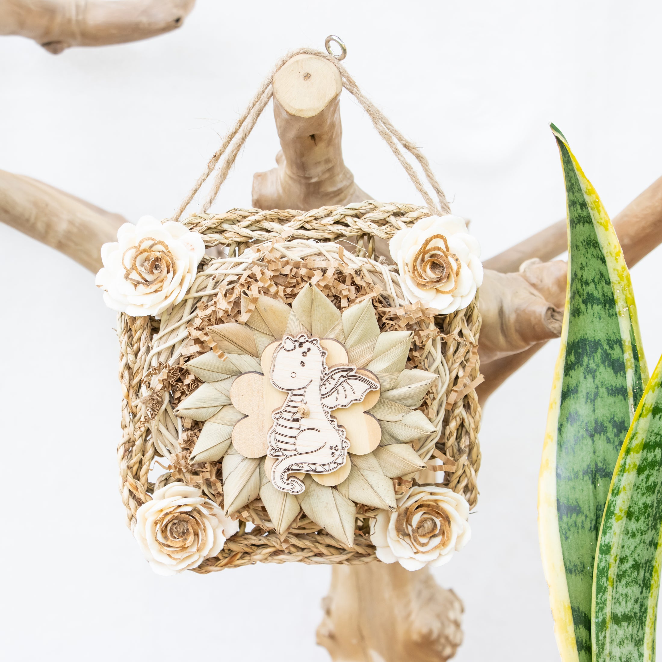 Wings of Legend - Dragon Collection