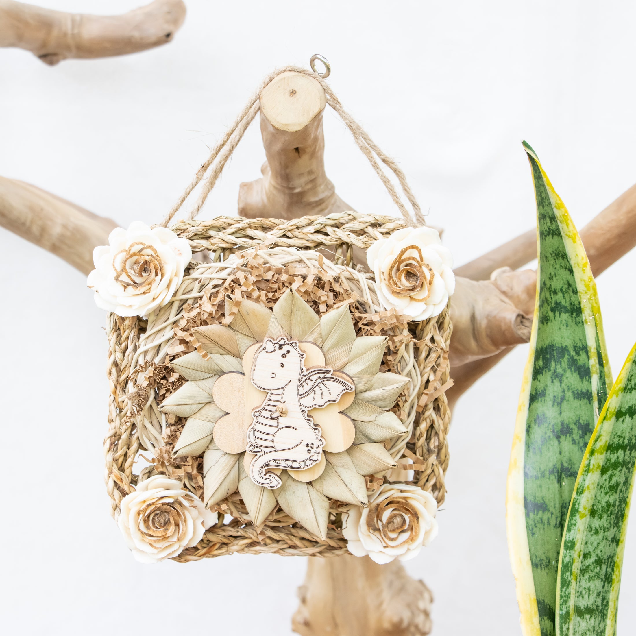 Wings of Legend - Dragon Collection