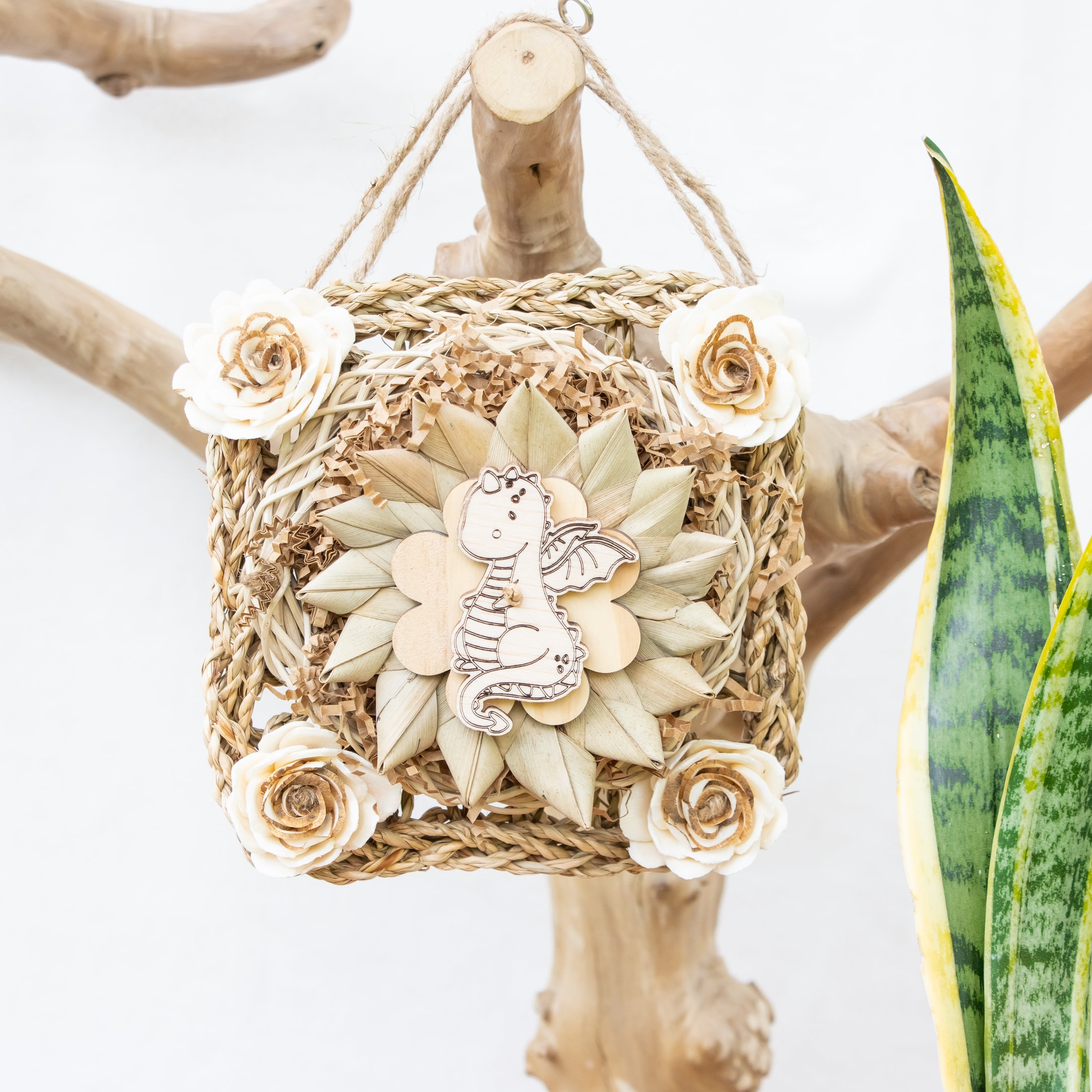 Wings of Legend - Dragon Collection