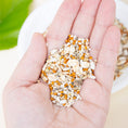 Load image into Gallery viewer, Premium Organic Seed Mix - Bird Food
