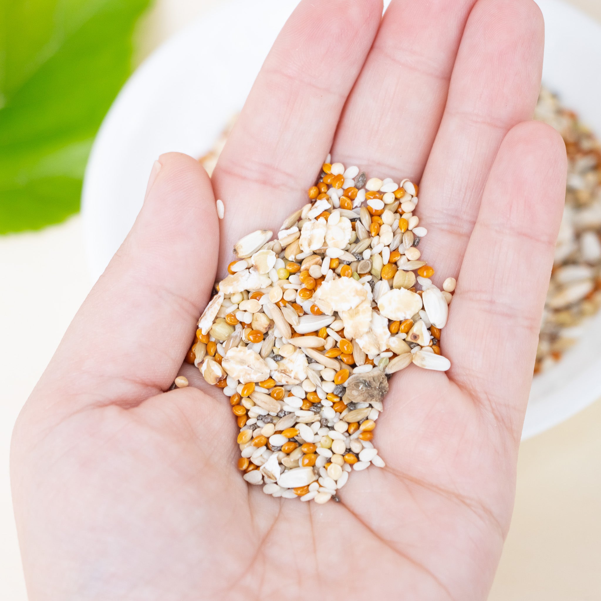 Premium Organic Seed Mix - Bird Food