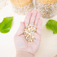 Load image into Gallery viewer, Premium Organic Seed Mix - Bird Food
