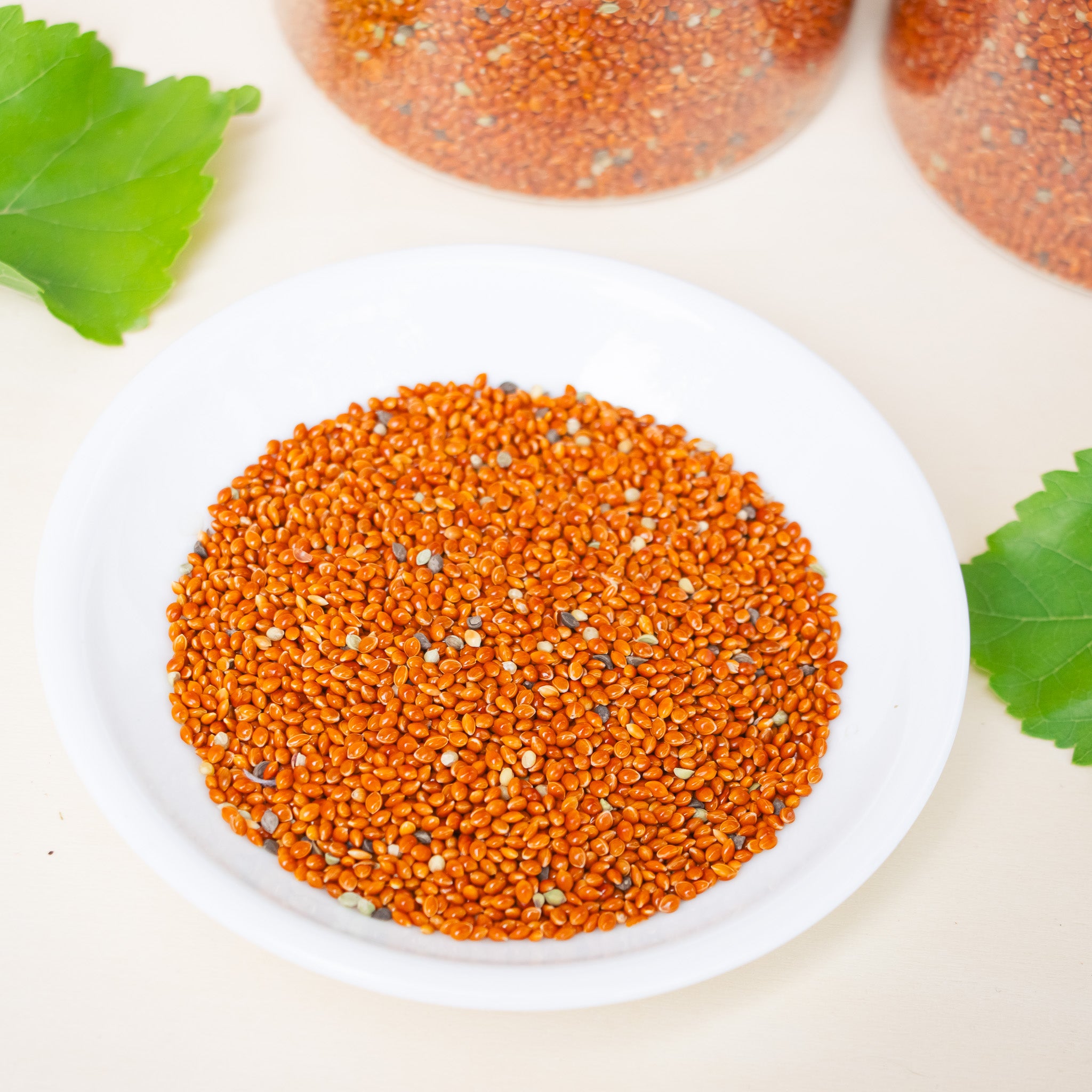 Organic Red Proso Millet Seed  - Treat