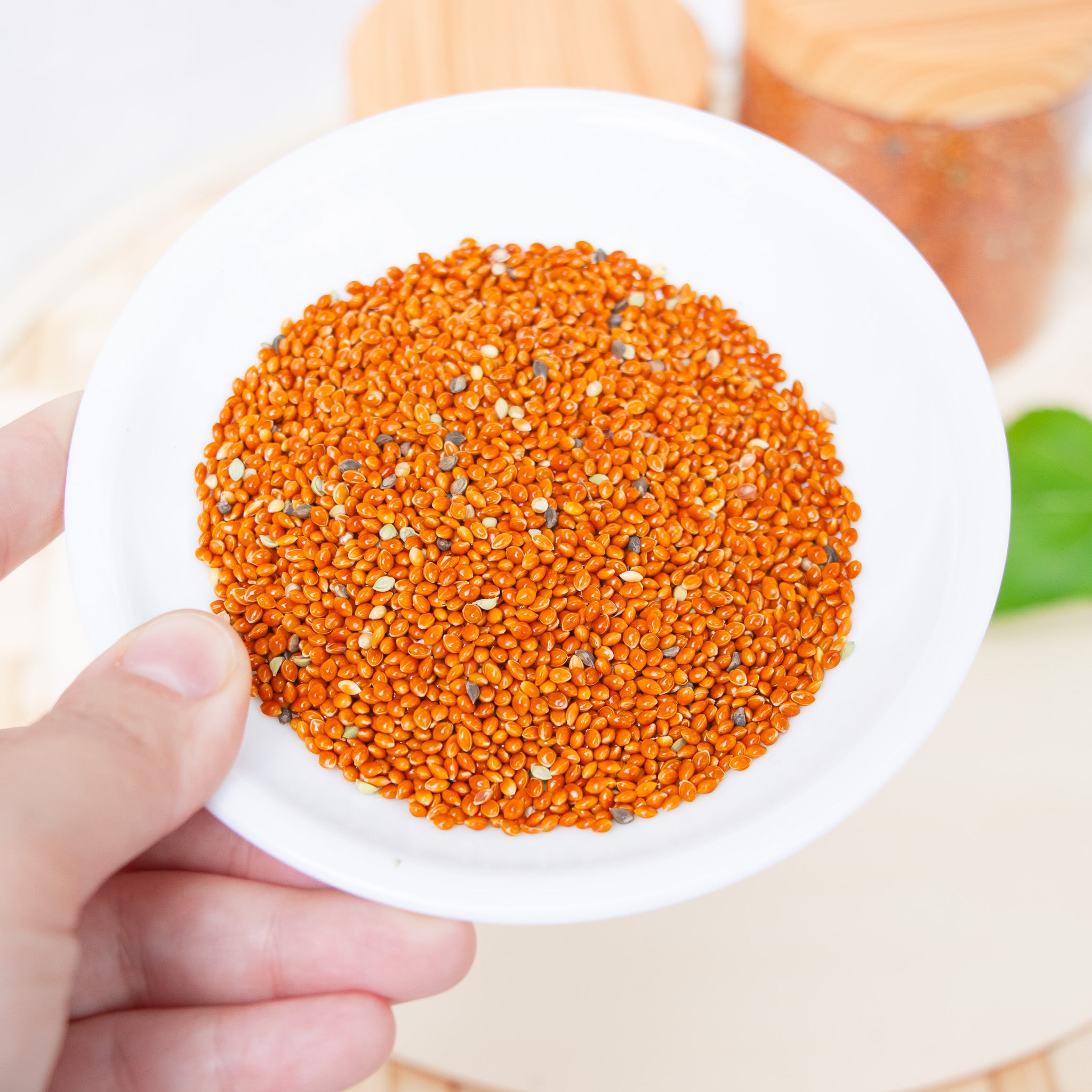 Organic Red Proso Millet Seed  - Treat