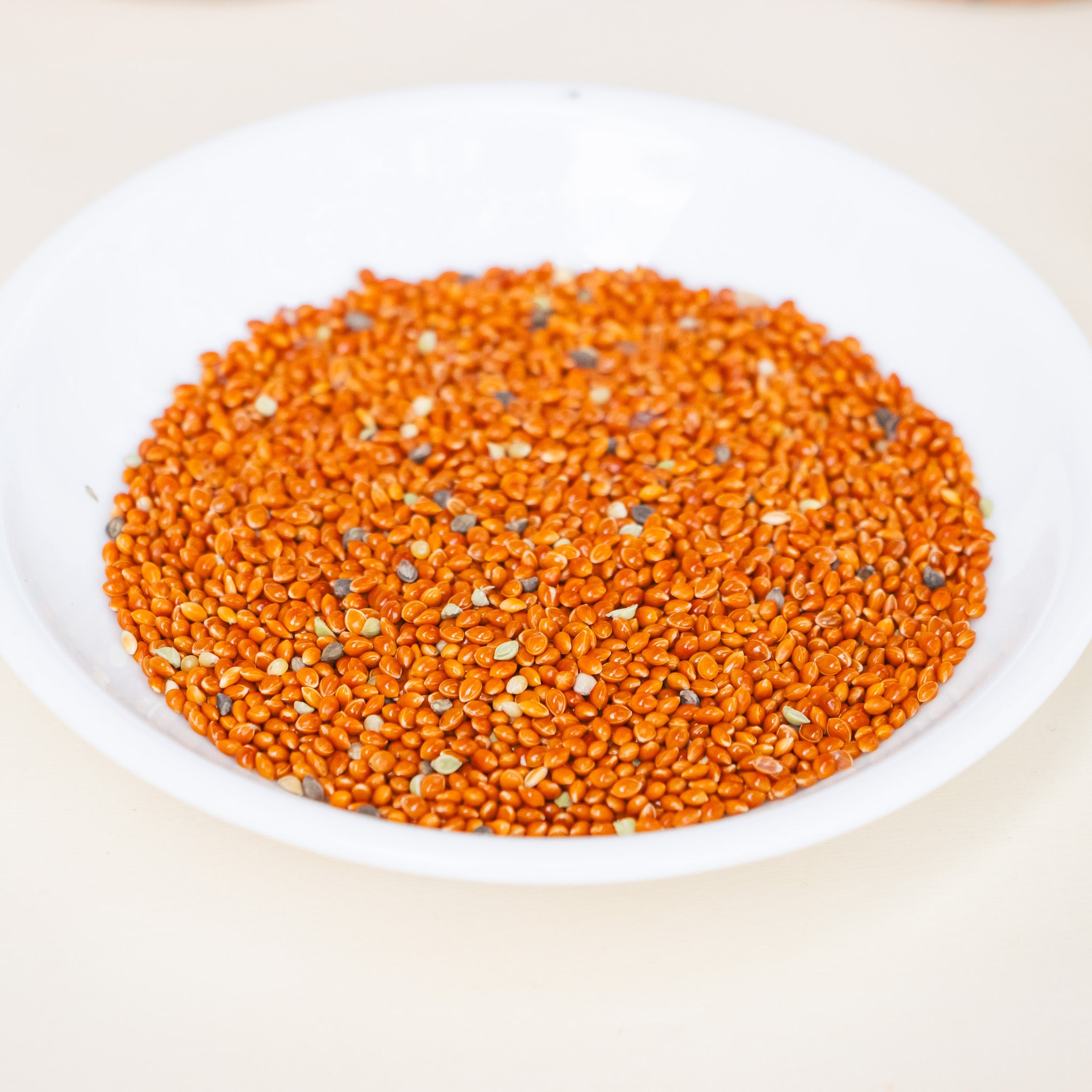 Organic Red Proso Millet Seed  - Treat