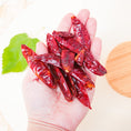 Load image into Gallery viewer, Organic Red Chilli Flakes - Treat
