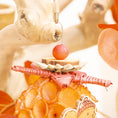Load image into Gallery viewer, Nuts About Autumn - Autumn Collection

