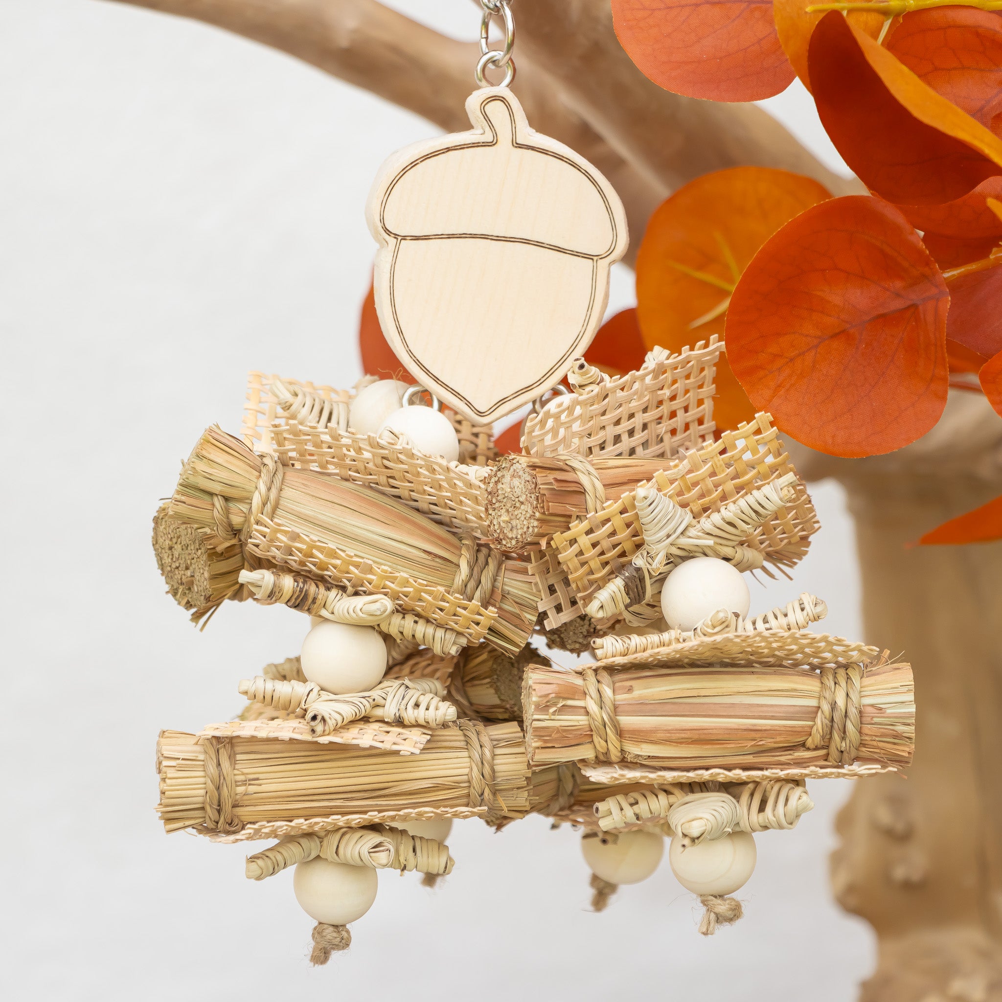 Acorn Whisper - Autumn Collection