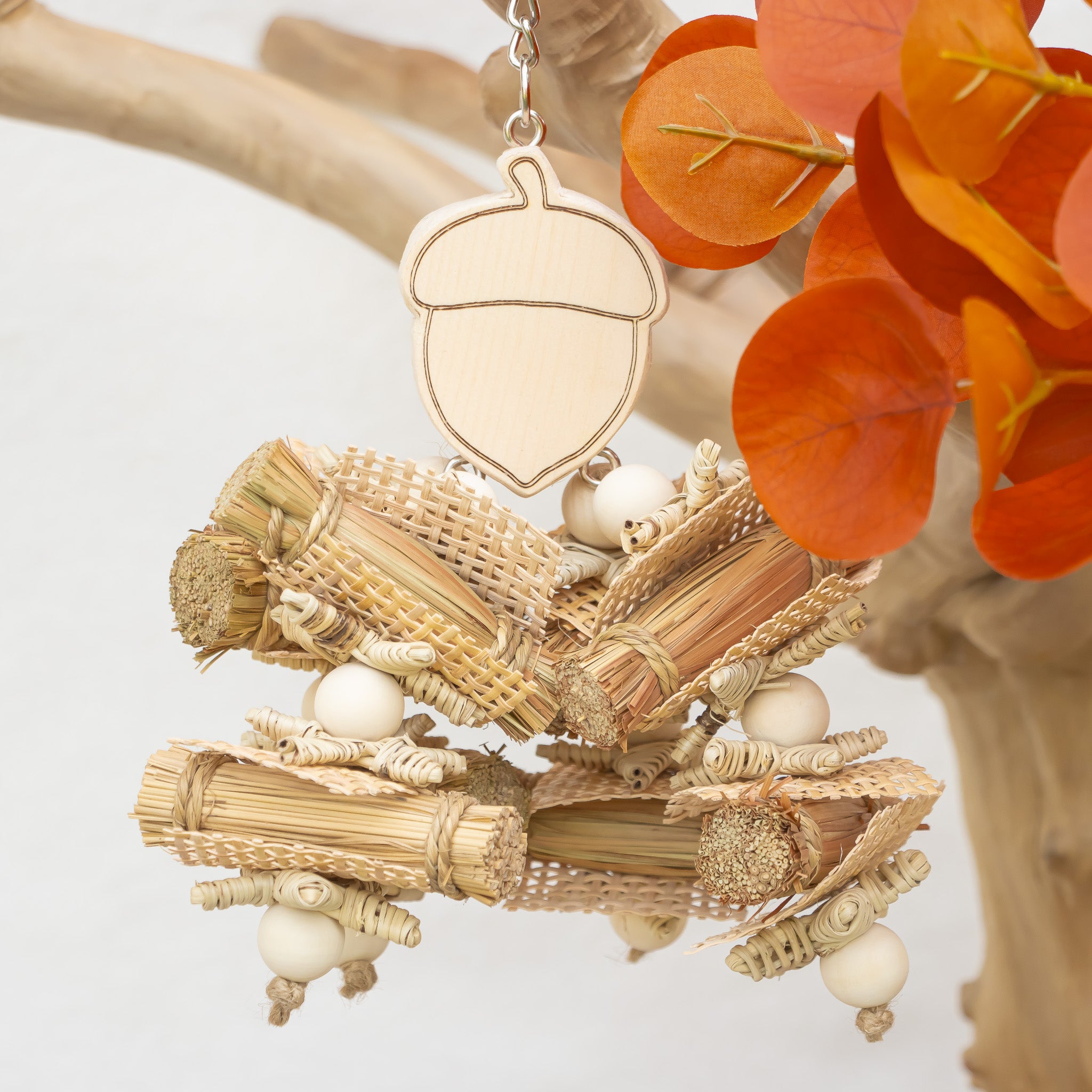 Acorn Whisper - Autumn Collection