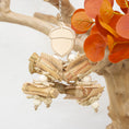 Load image into Gallery viewer, Acorn Whisper - Autumn Collection
