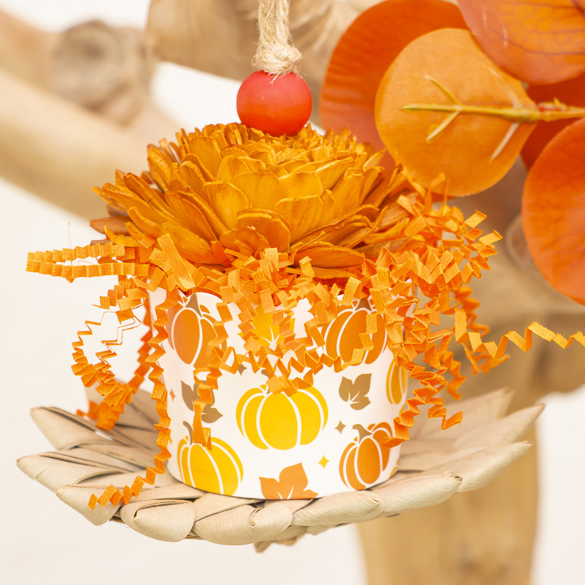 Pumpkin Season - Autumn Collection
