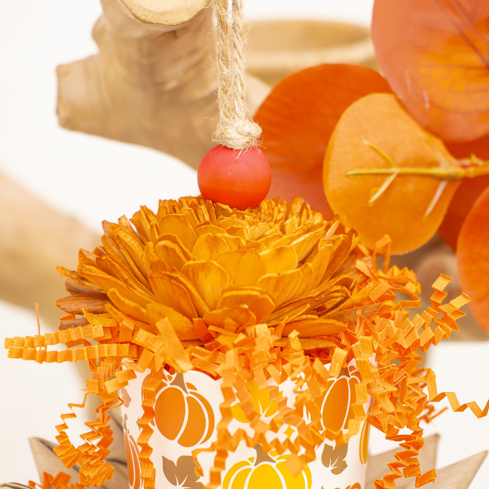 Pumpkin Season - Autumn Collection