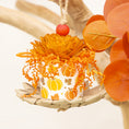 Load image into Gallery viewer, Pumpkin Season - Autumn Collection

