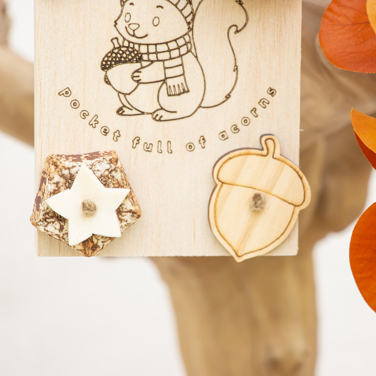 Autumn leaves - Autumn Collection
