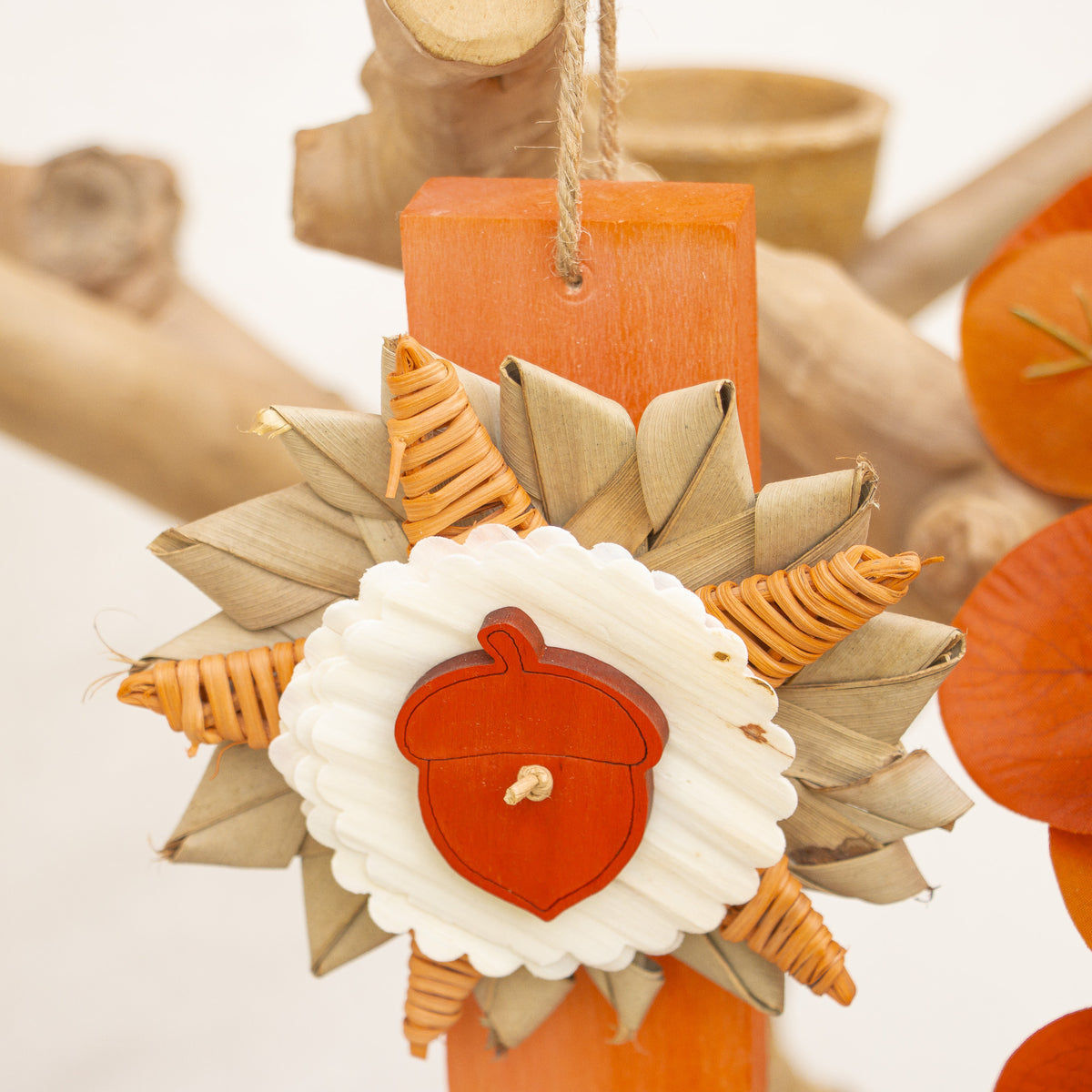 Autumn Days Ahead - Autumn Collection