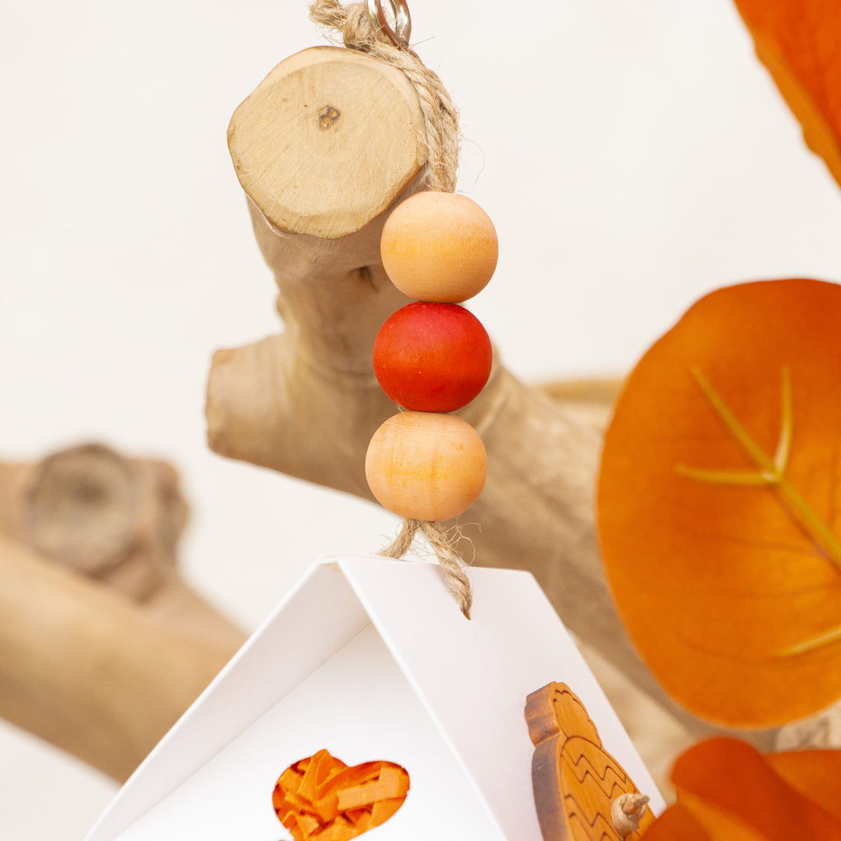 Seasonal Bliss - Autumn Collection