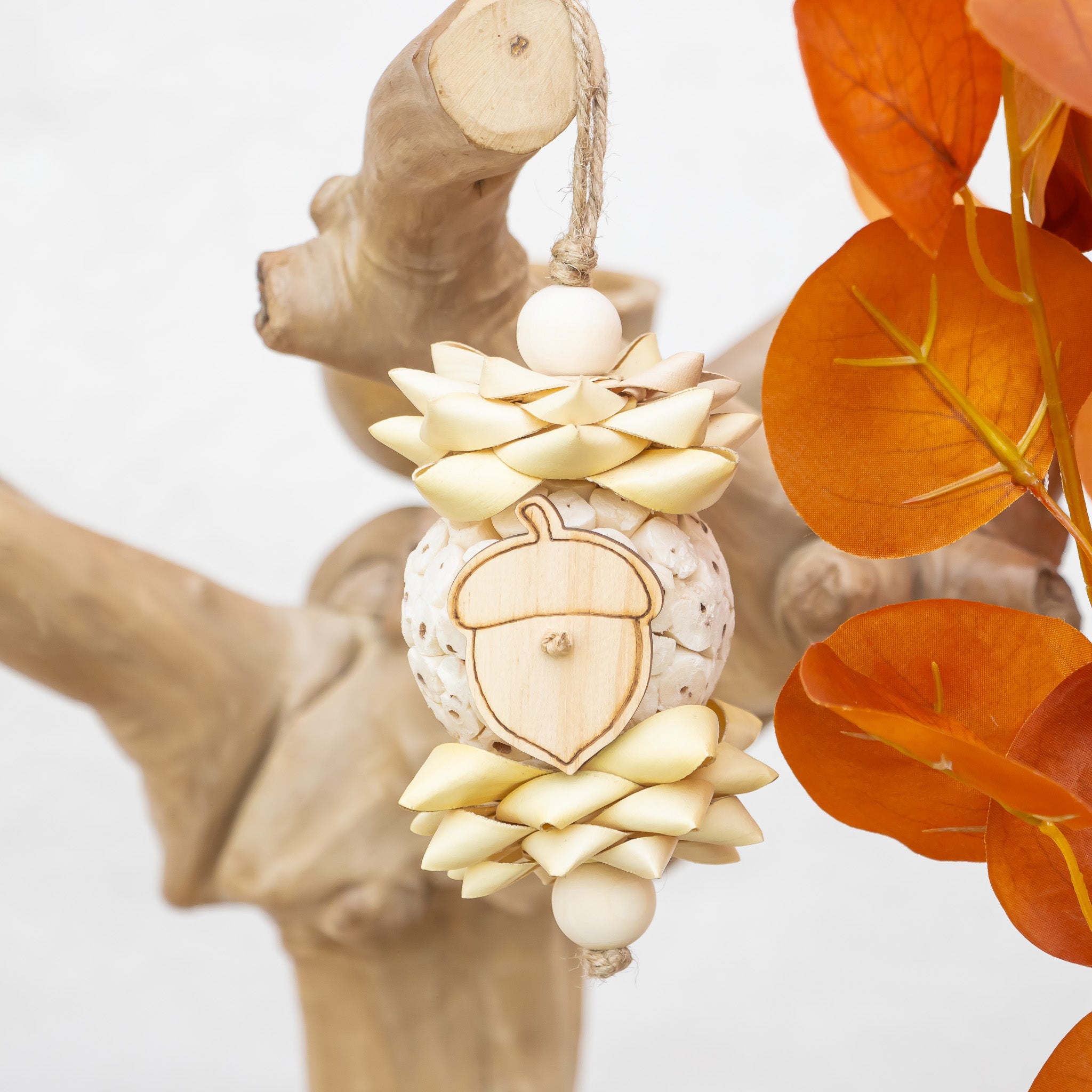 Little Acorn - Autumn Collection