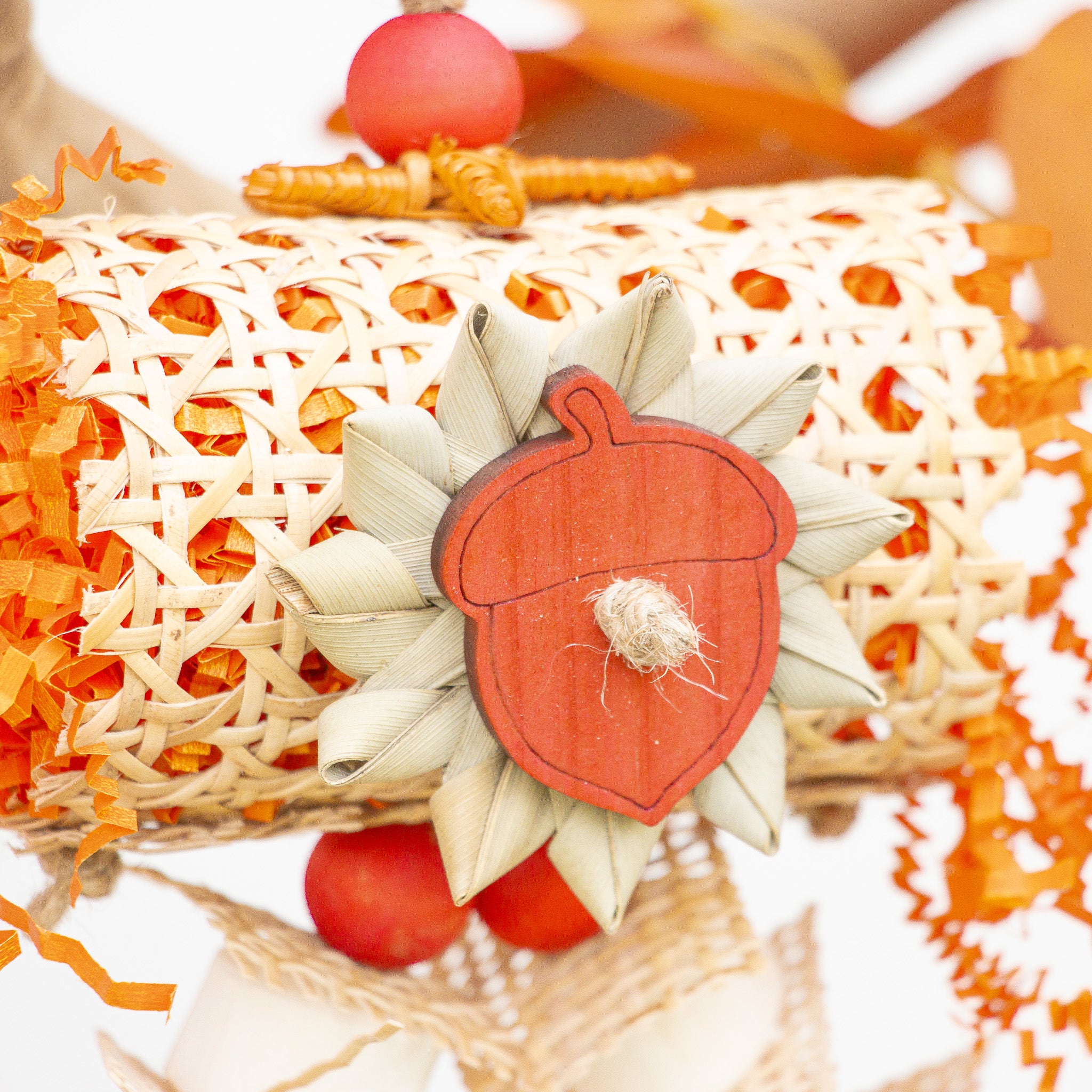 Fall in the Air - Autumn Collection