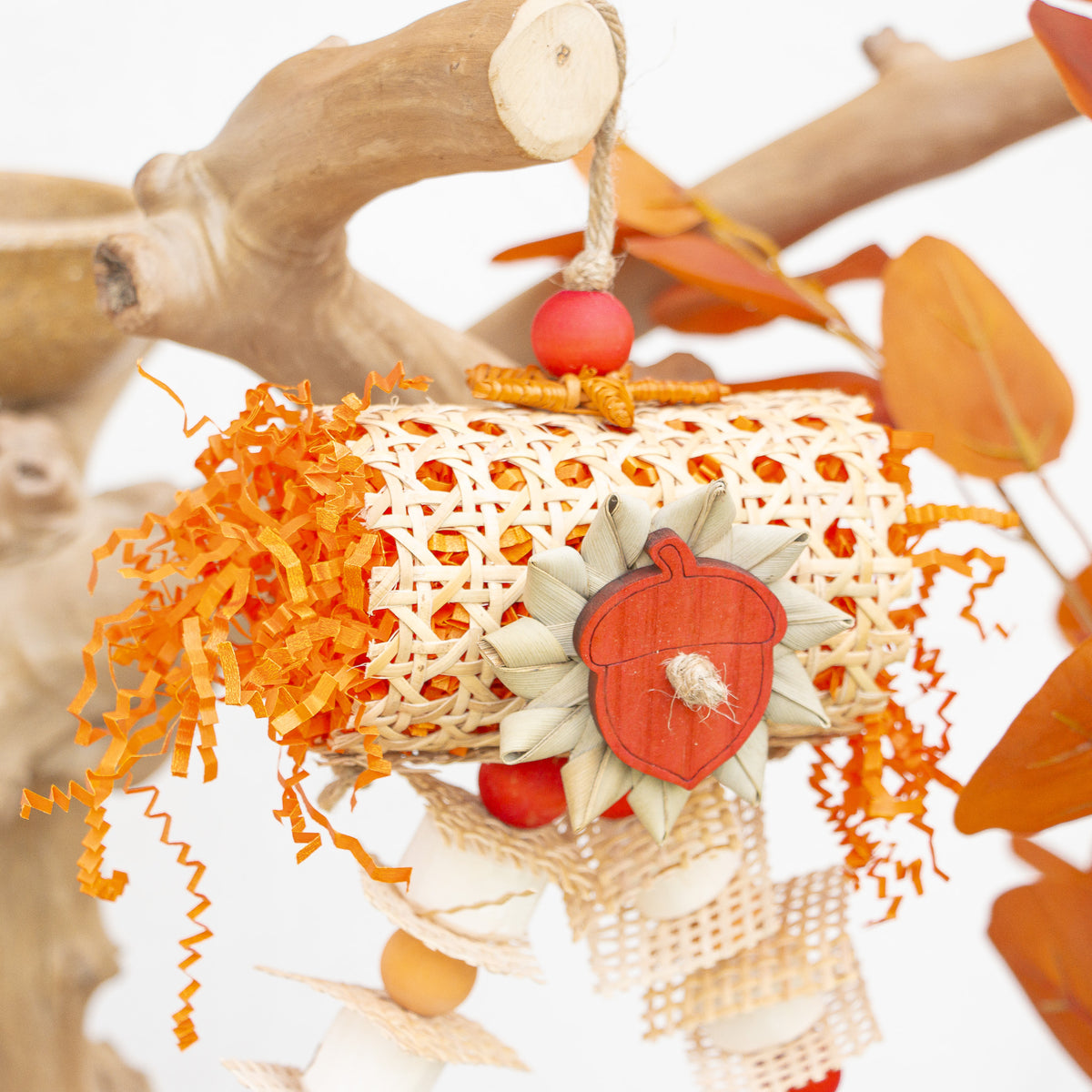 Fall in the Air - Autumn Collection