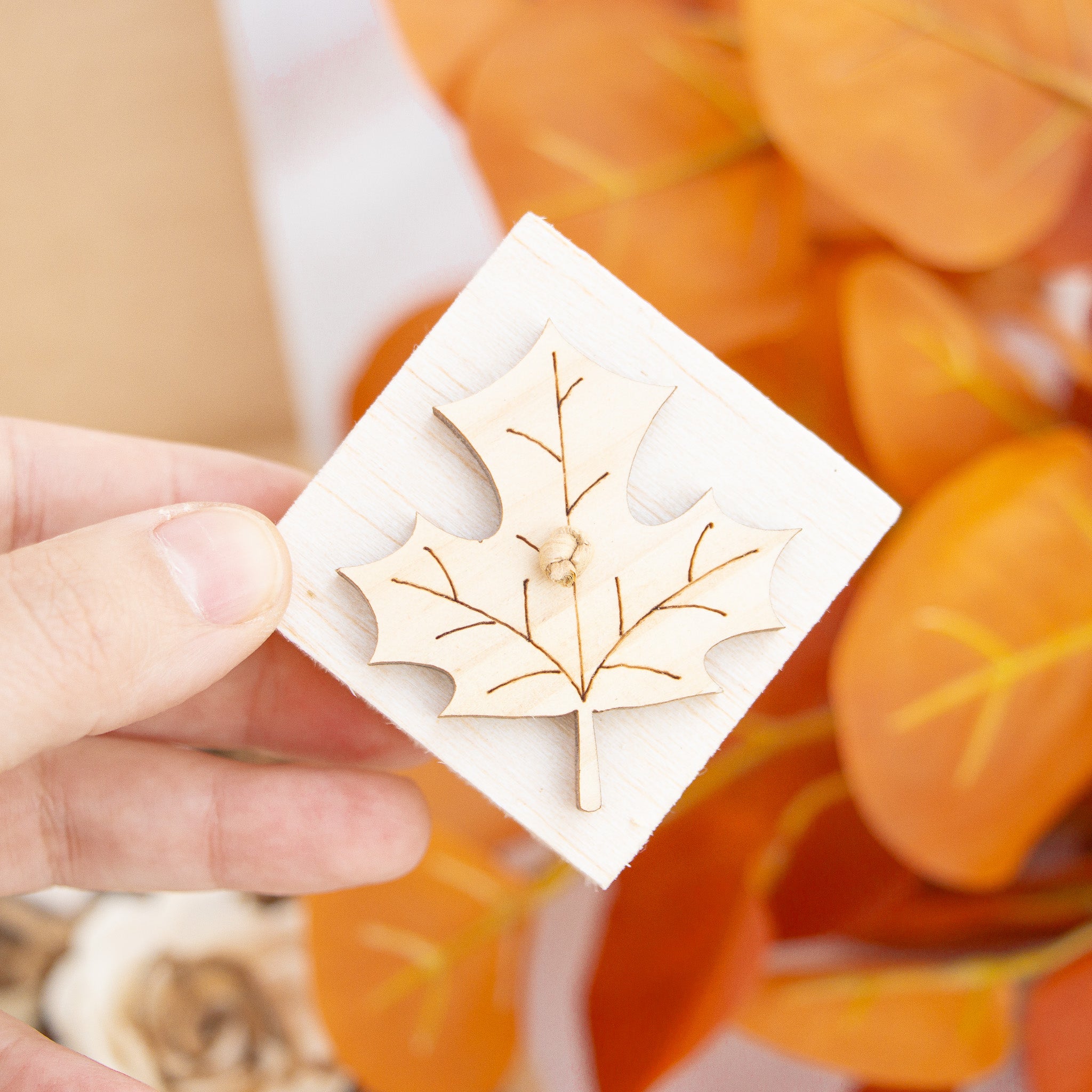 Sweet Pumpkin Harvest - Autumn Collection