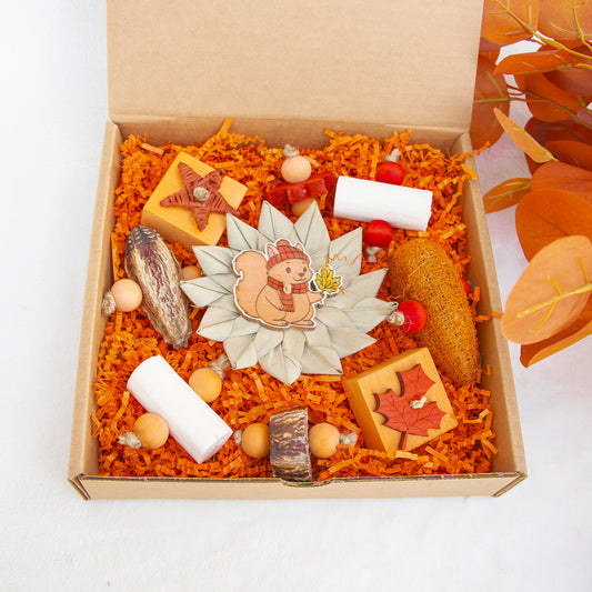 Pumpkin Patch Dreams - Autumn Collection
