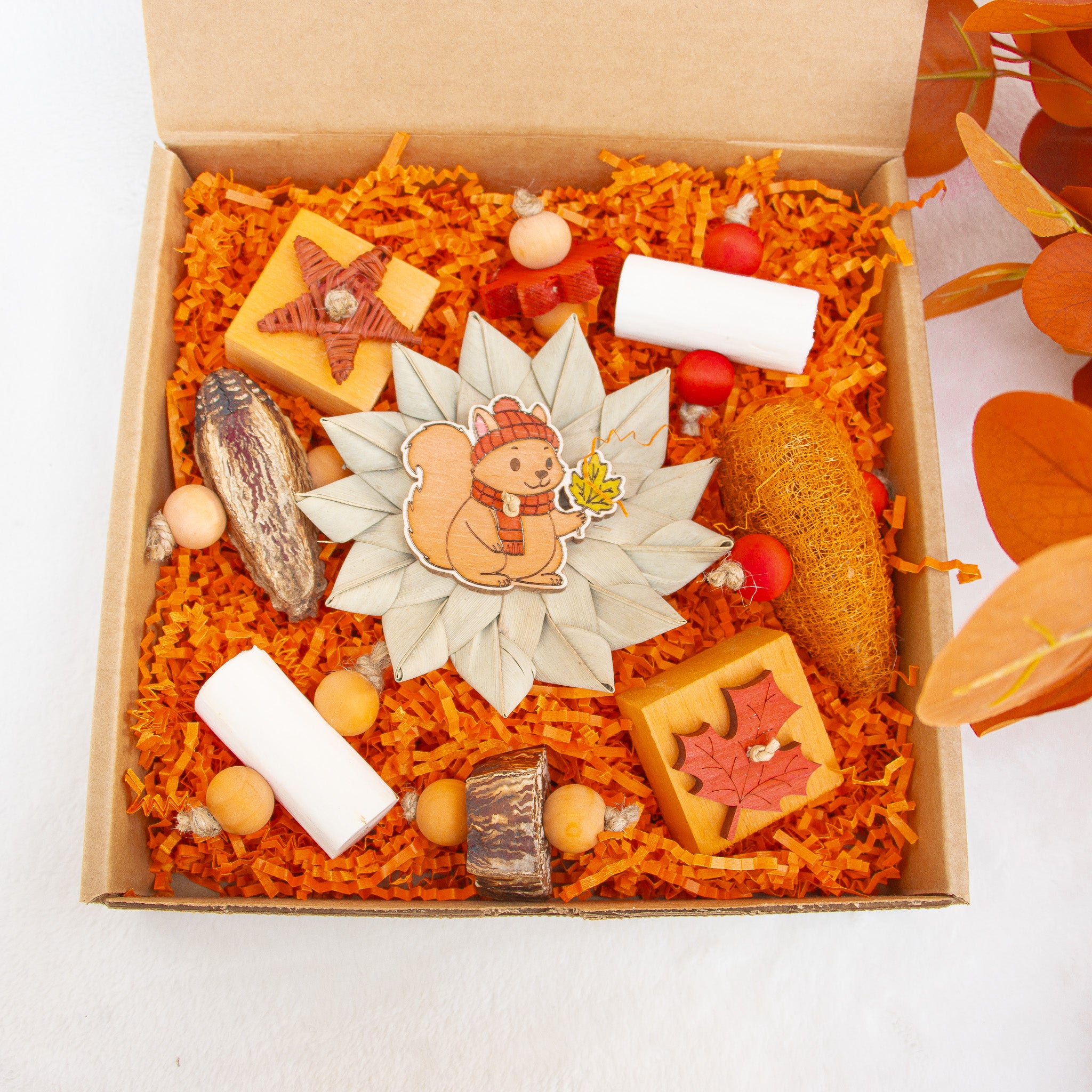 Pumpkin Patch Dreams - Autumn Collection