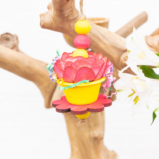 Soft Spring - Bunny Bloom Collection