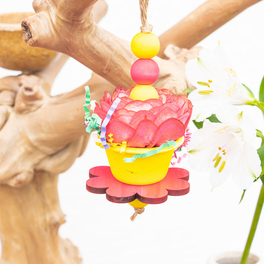 Soft Spring - Bunny Bloom Collection