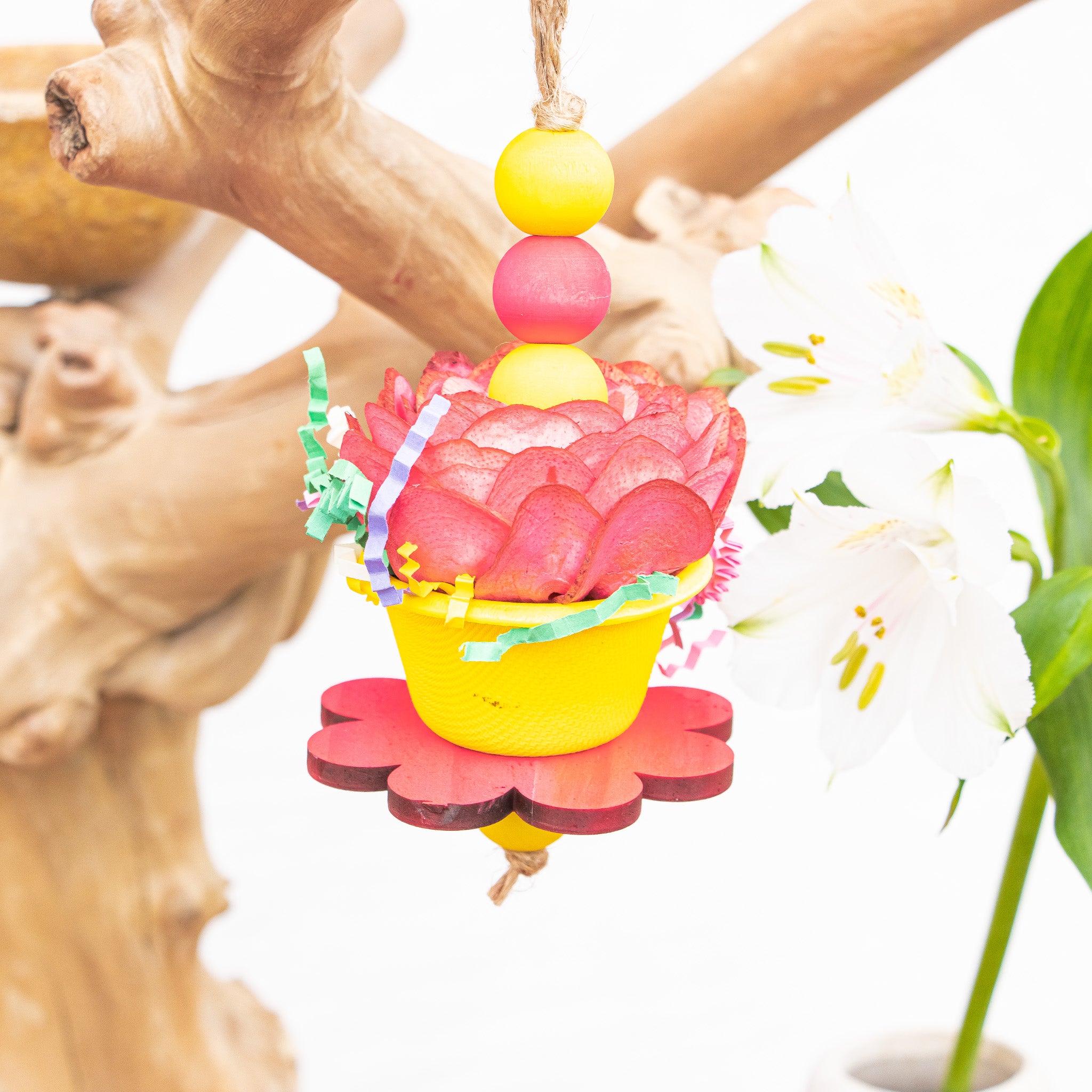 Soft Spring - Bunny Bloom Collection