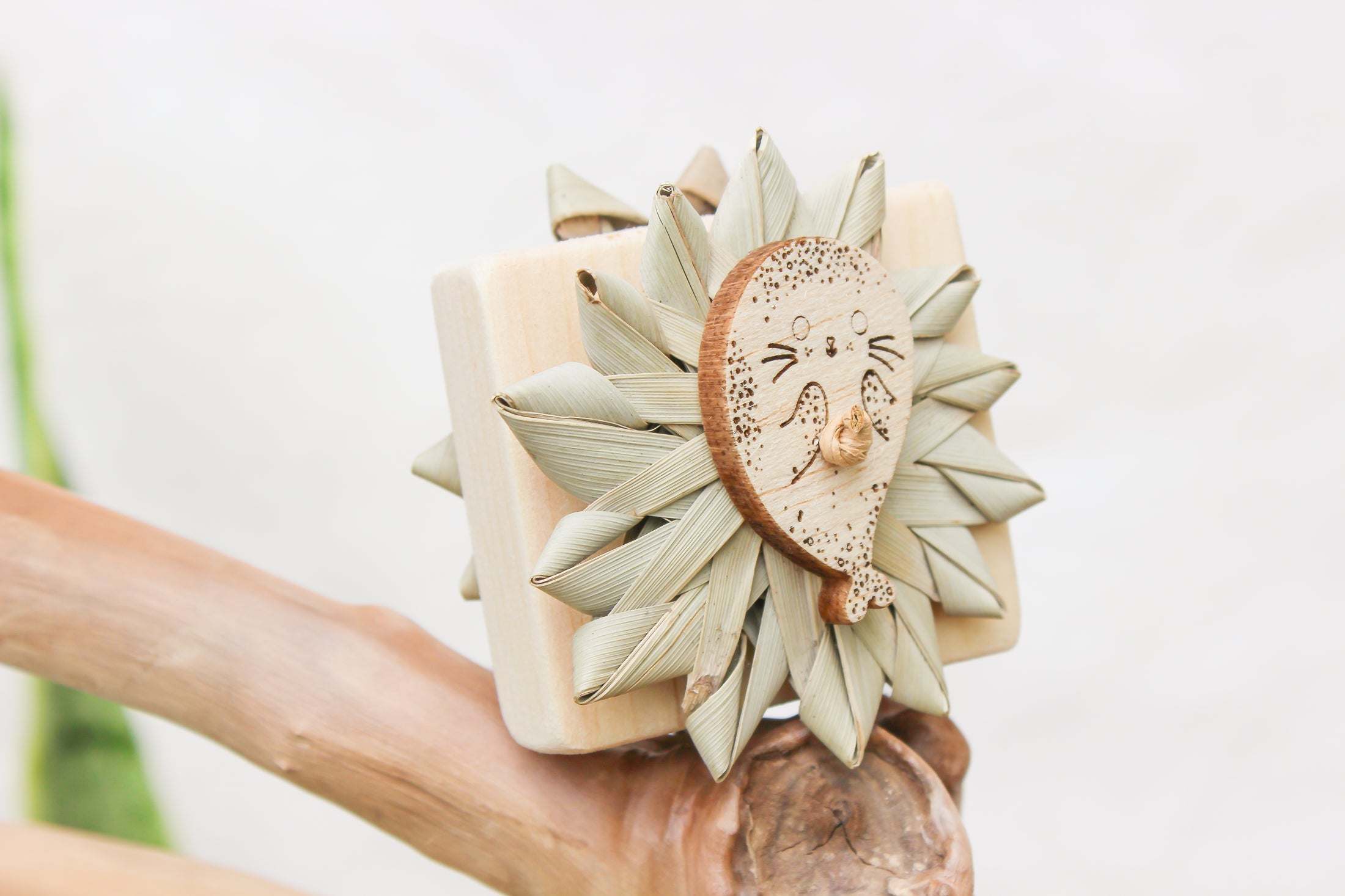 Seally Footsie - Foot Toy